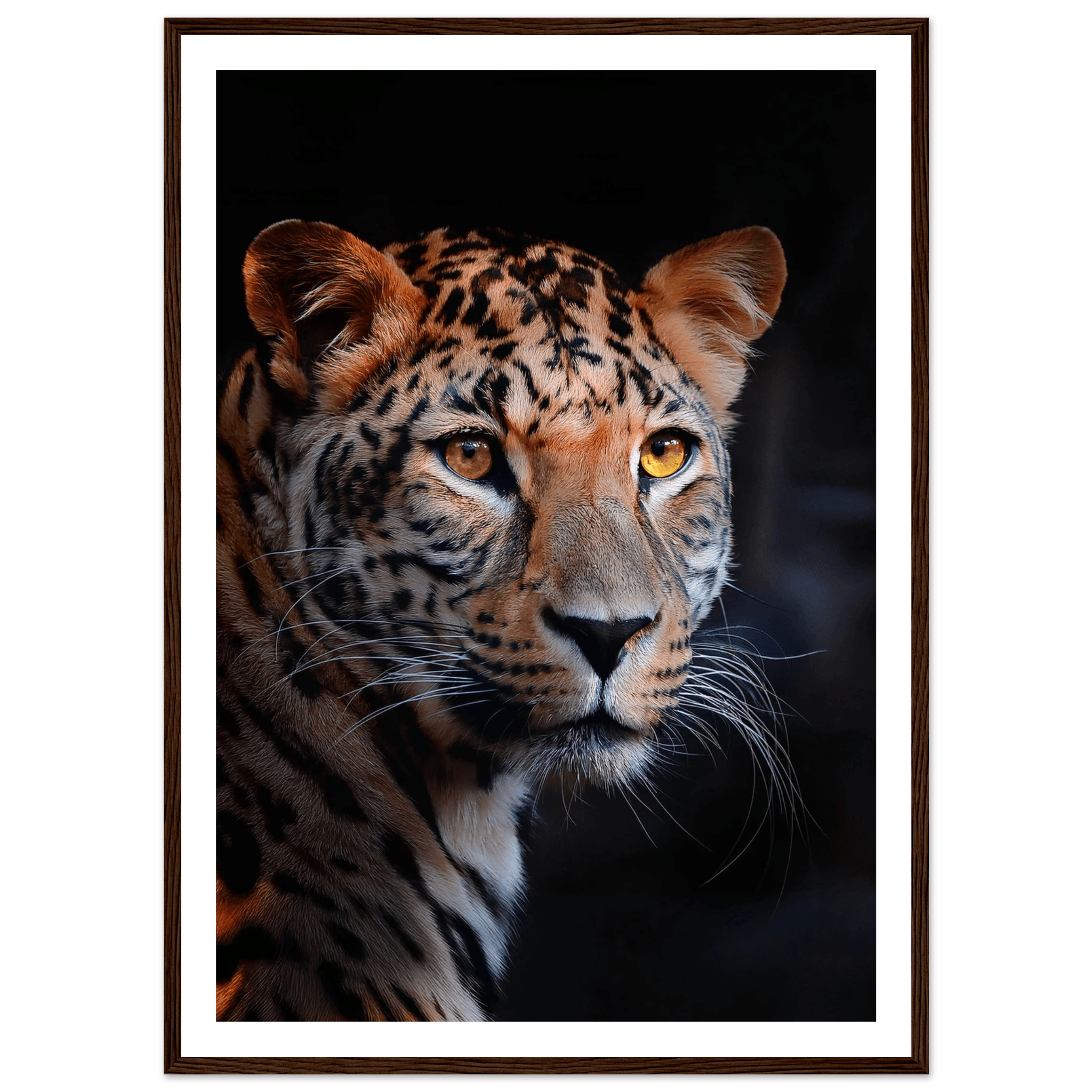 Leopard - Poster - Arthena