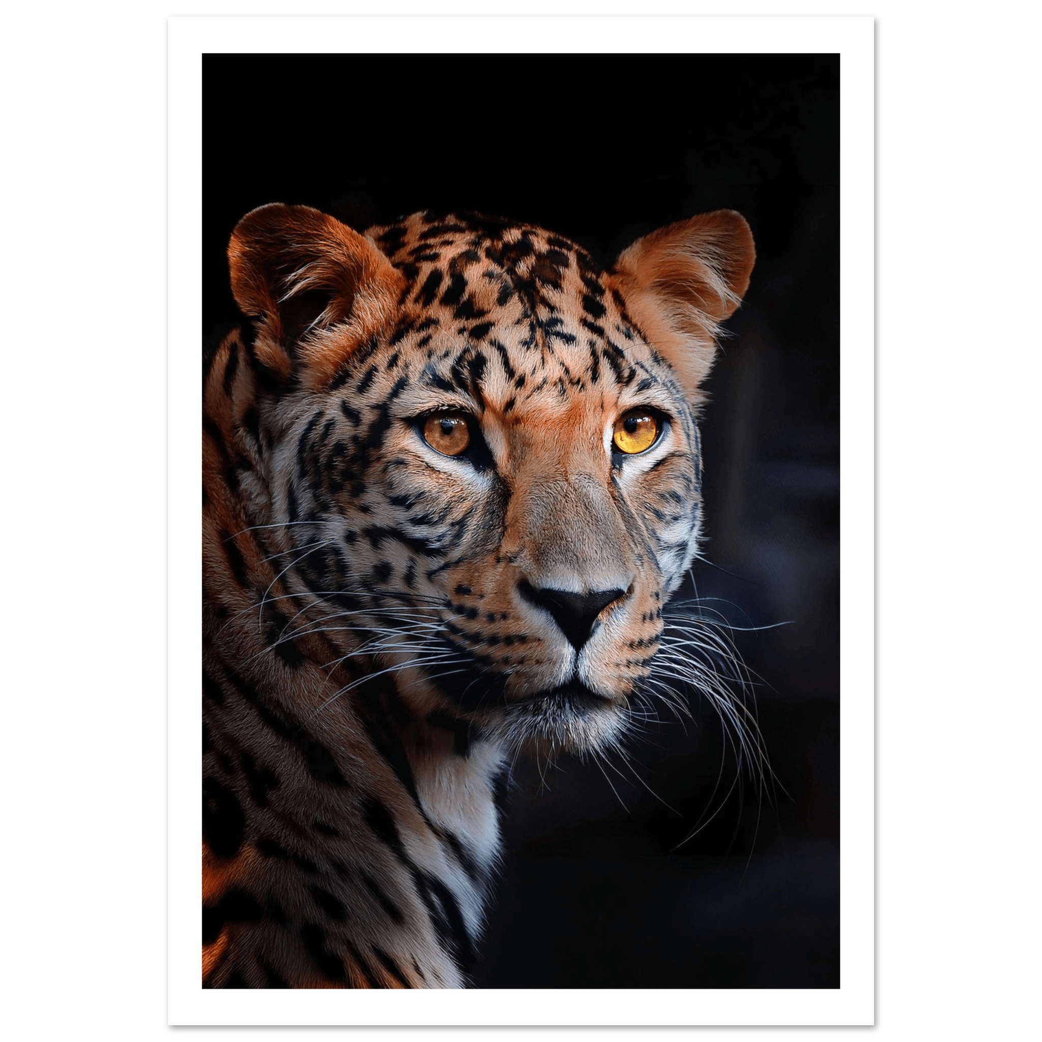 Leopard - Poster - Arthena