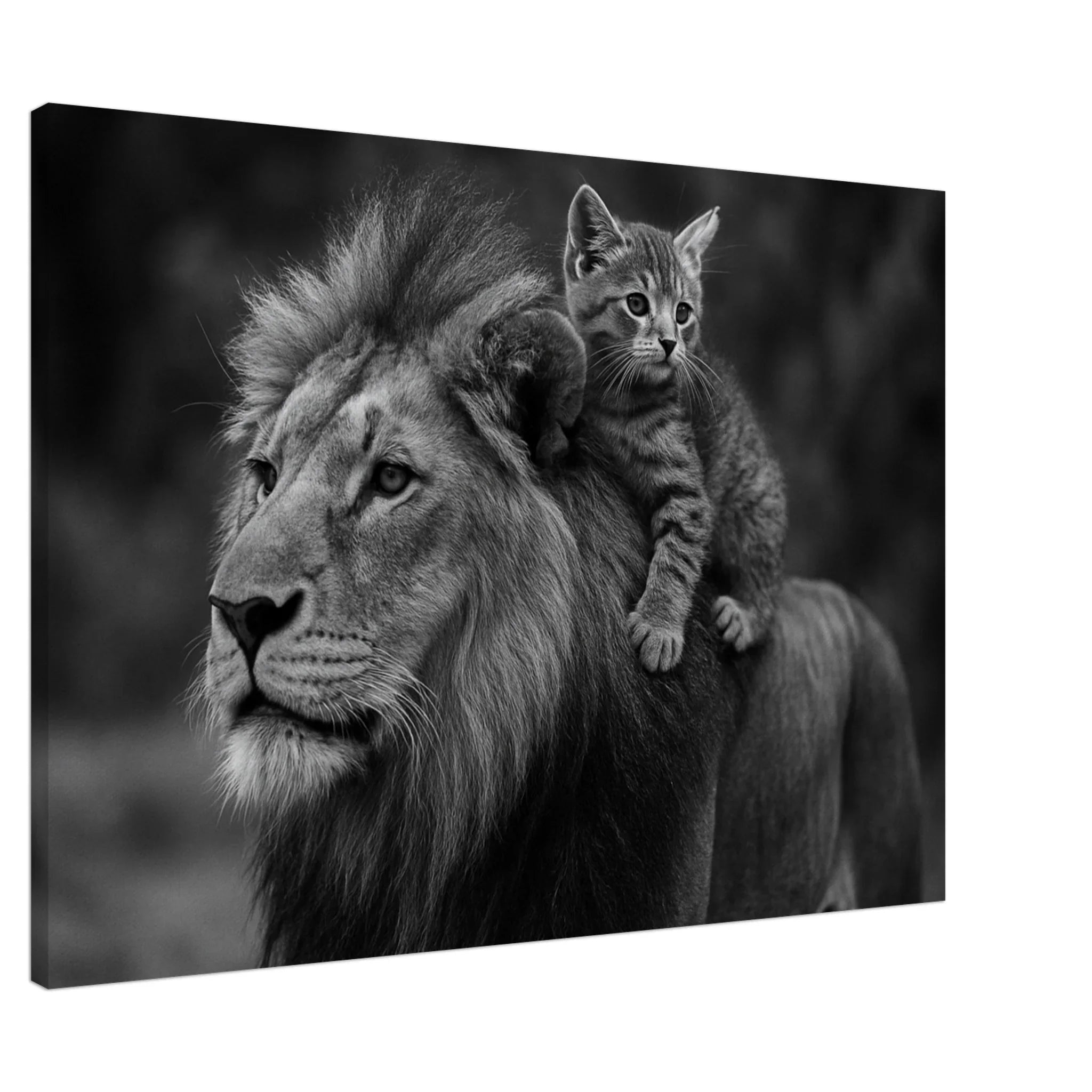 2e848c8a-a45d-448f-9f06-bad1e16144db