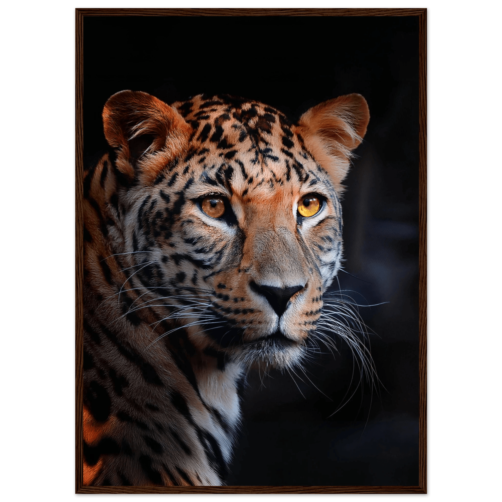 Leopard - Poster - Arthena
