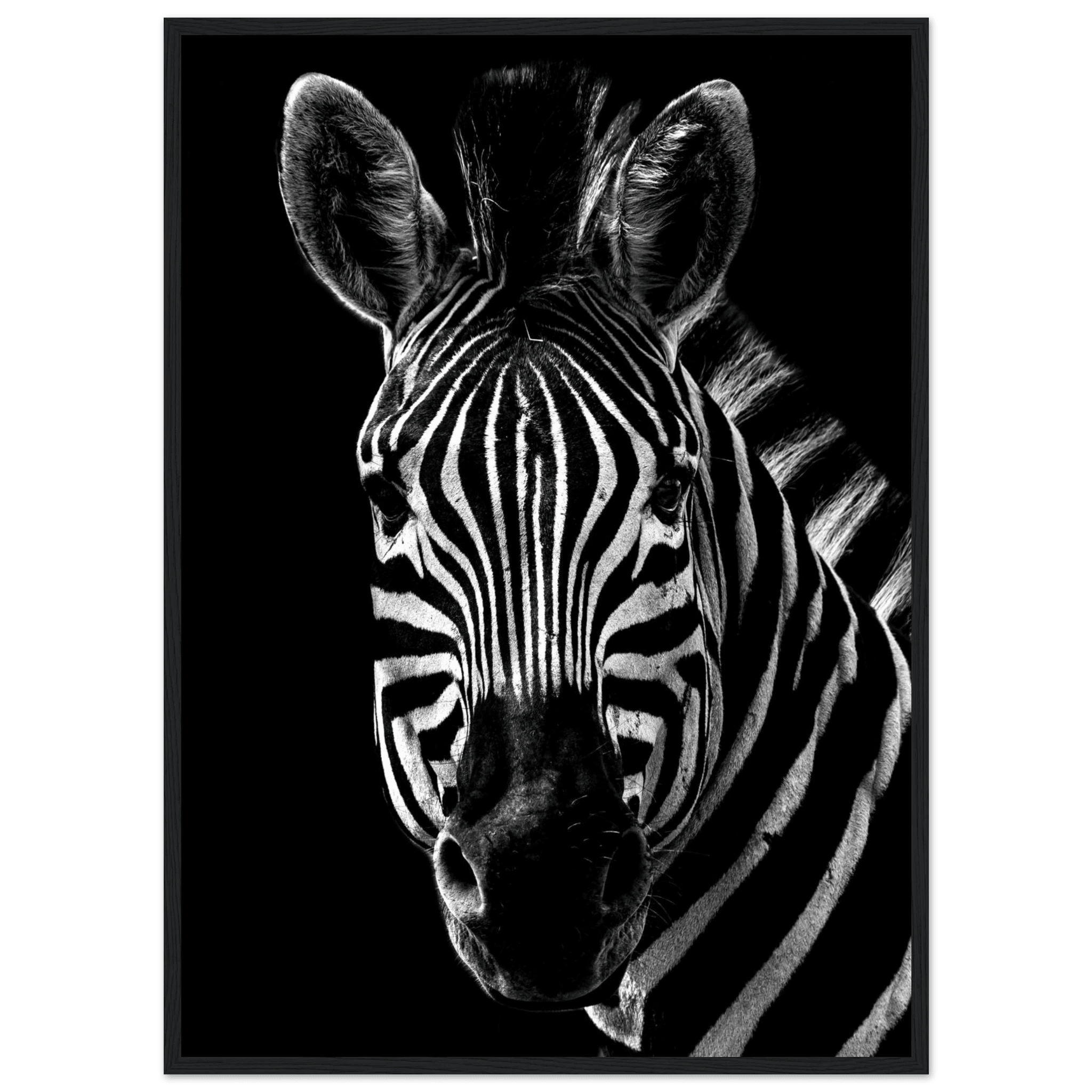 Zebra - Poster - Arthena