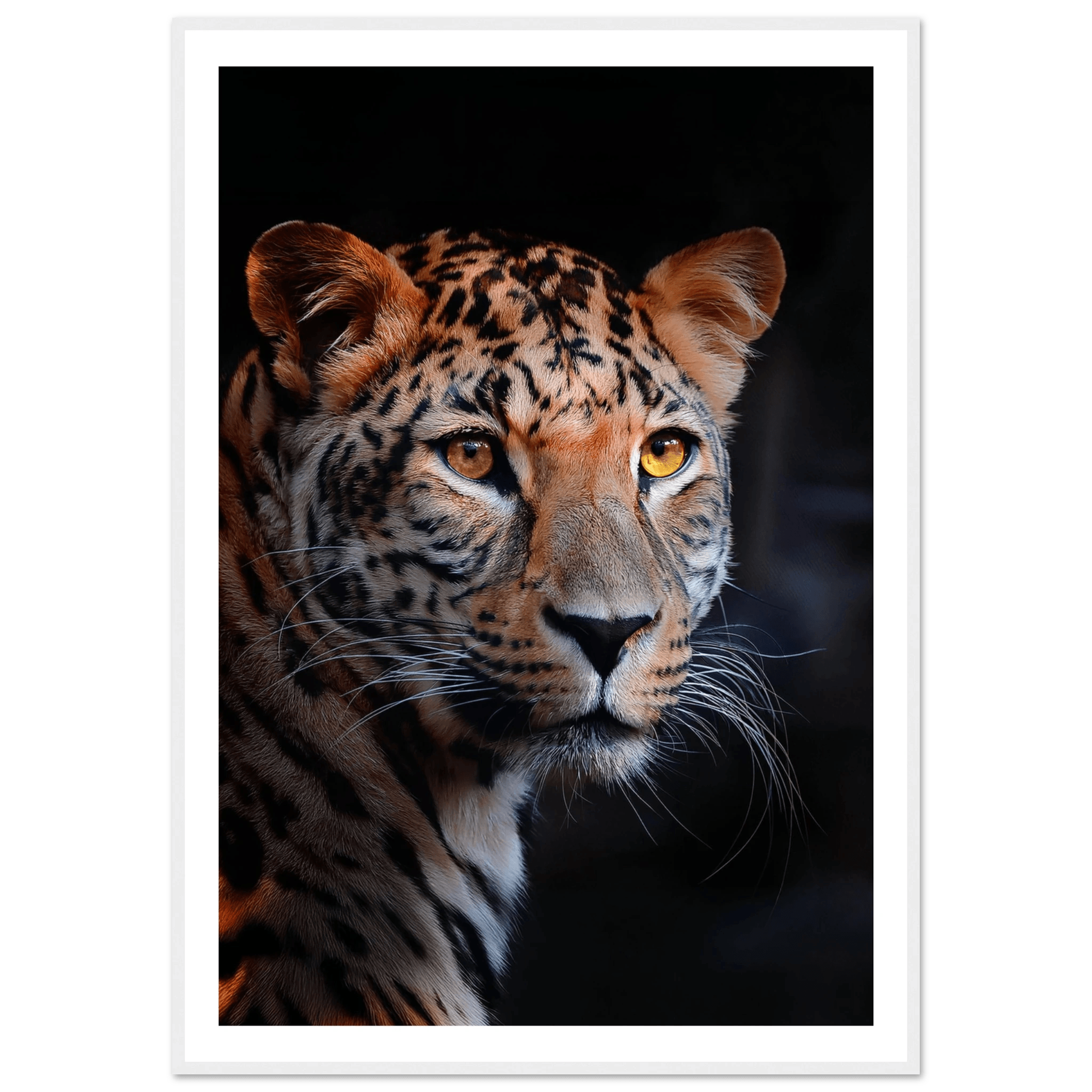 Leopard - Poster - Arthena