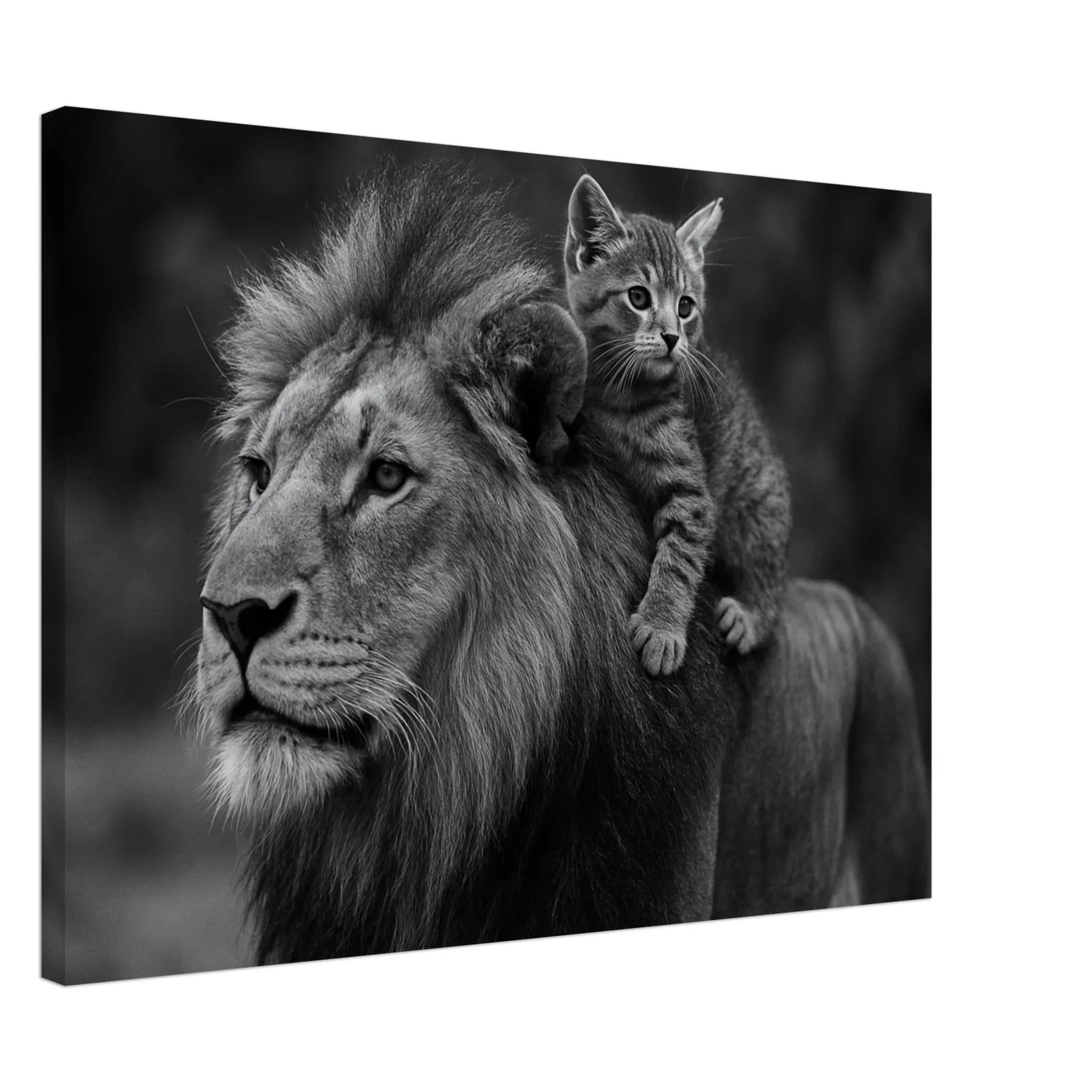 40aa0e3f-8c36-469a-88b8-fbcac8252083