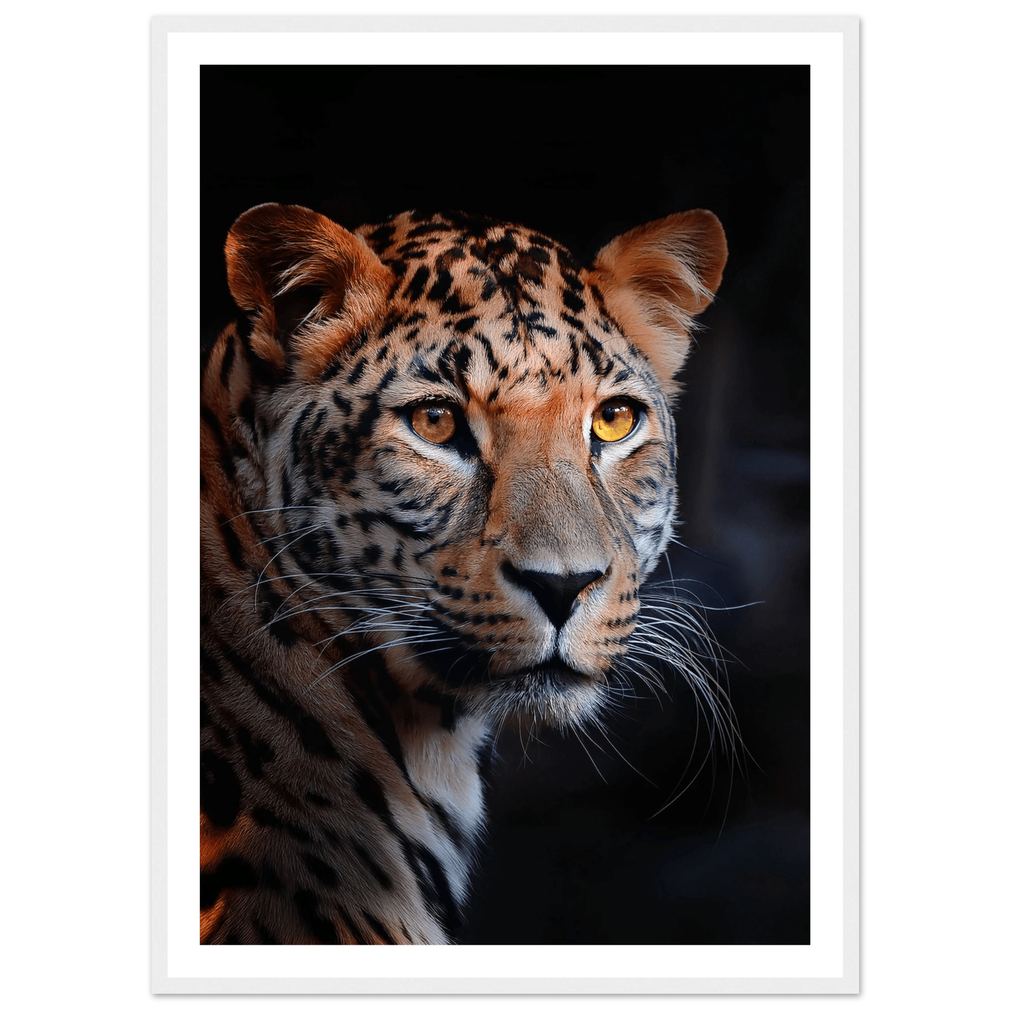 Leopard - Poster - Arthena