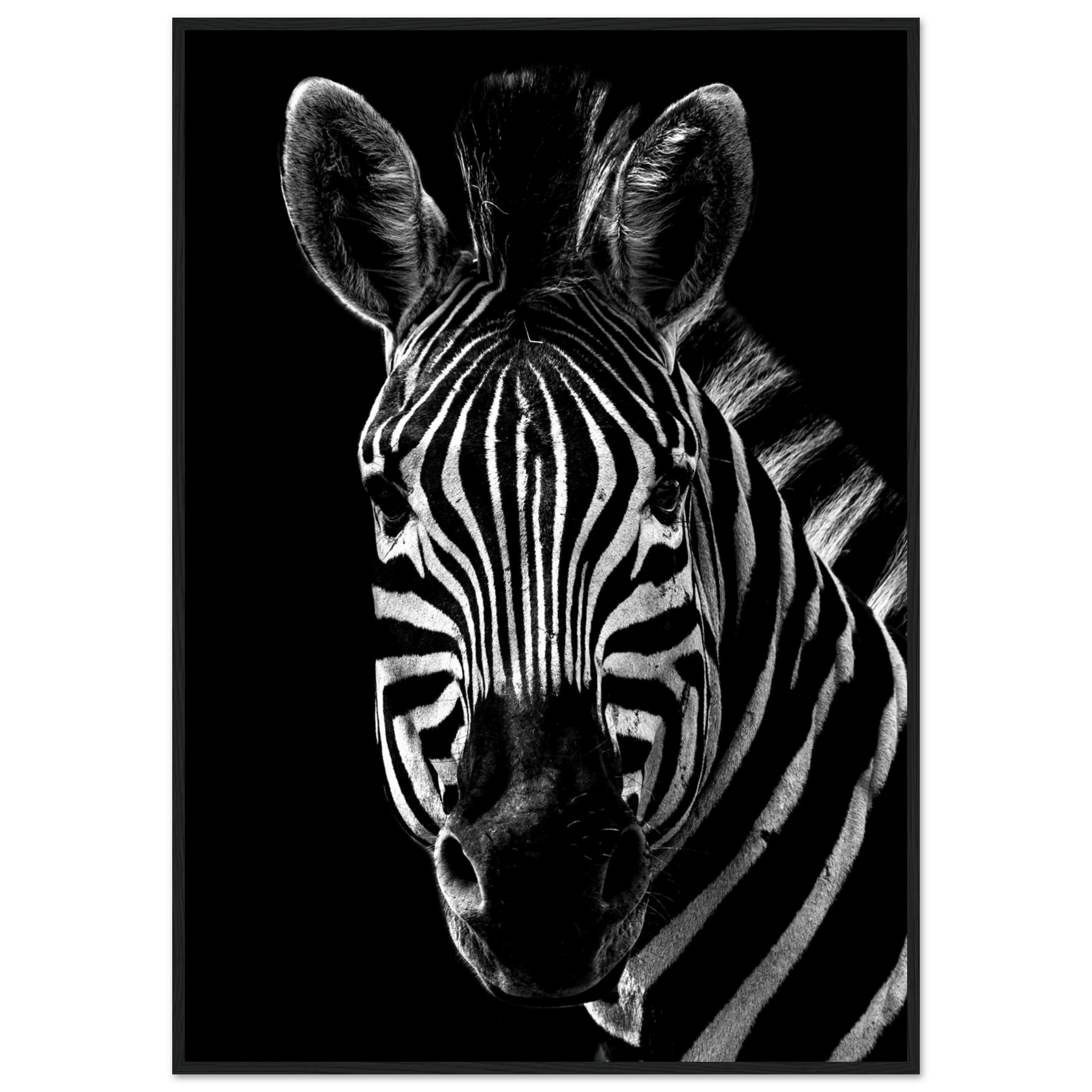Zebra - Poster - Arthena