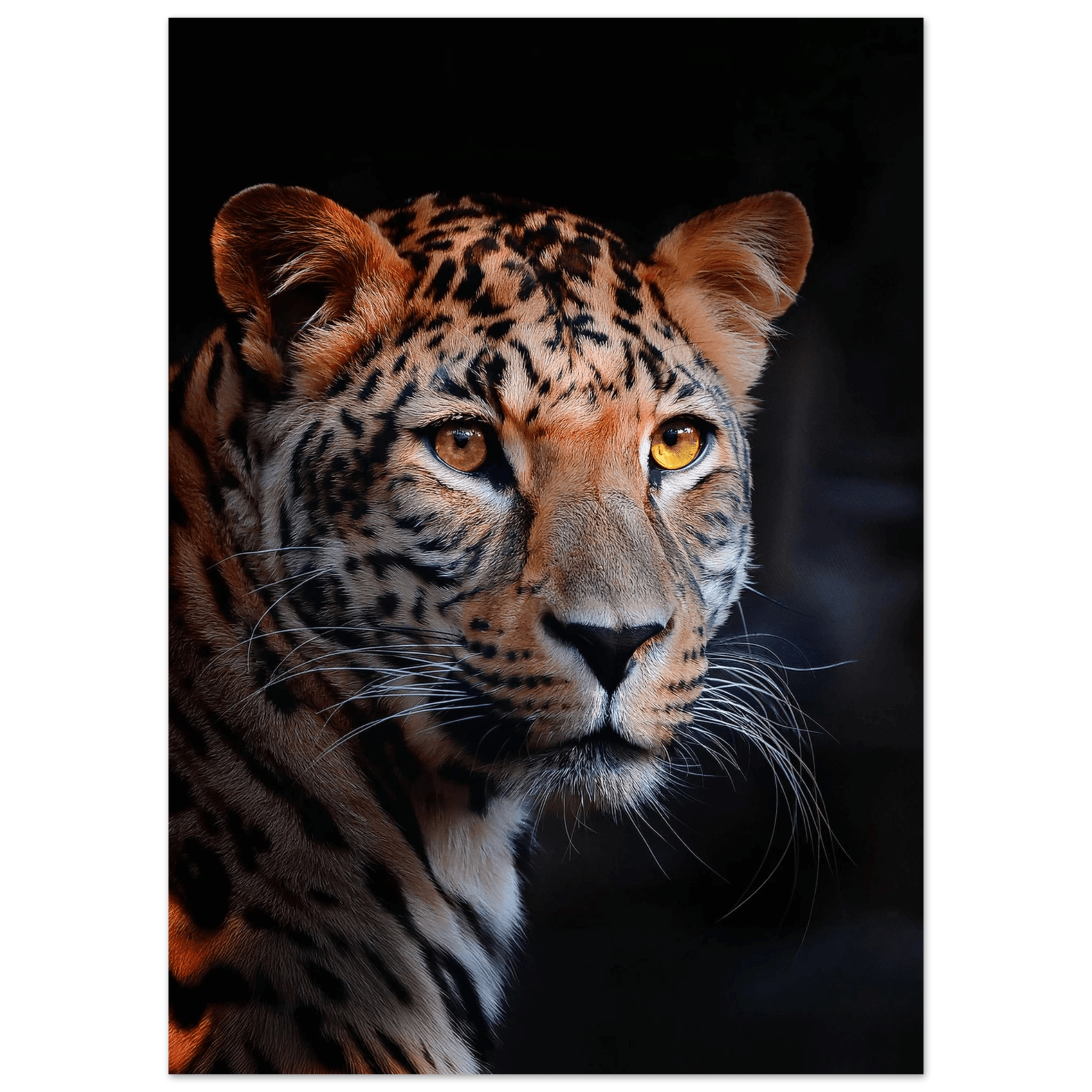 Leopard - Poster - Arthena