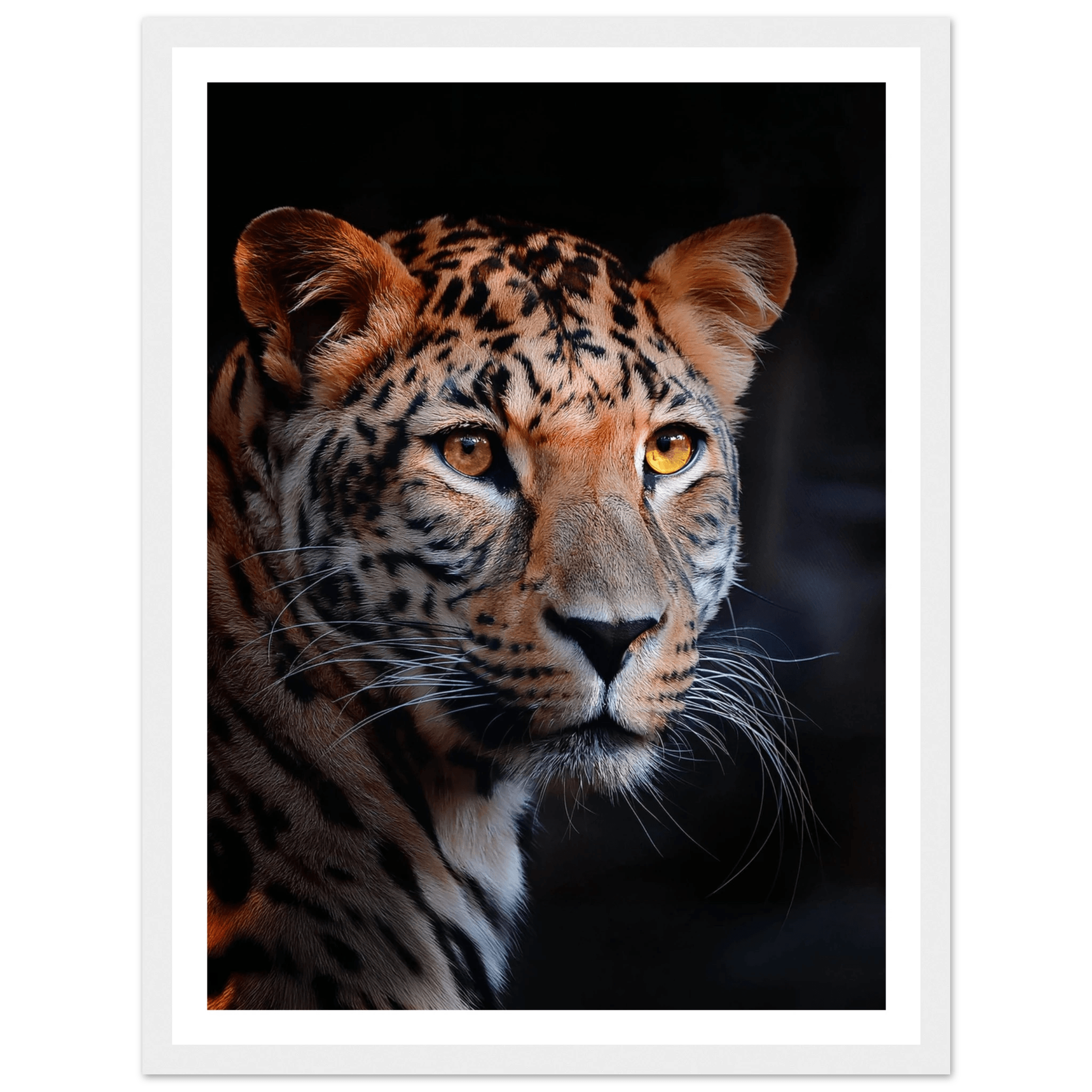 Leopard - Poster - Arthena