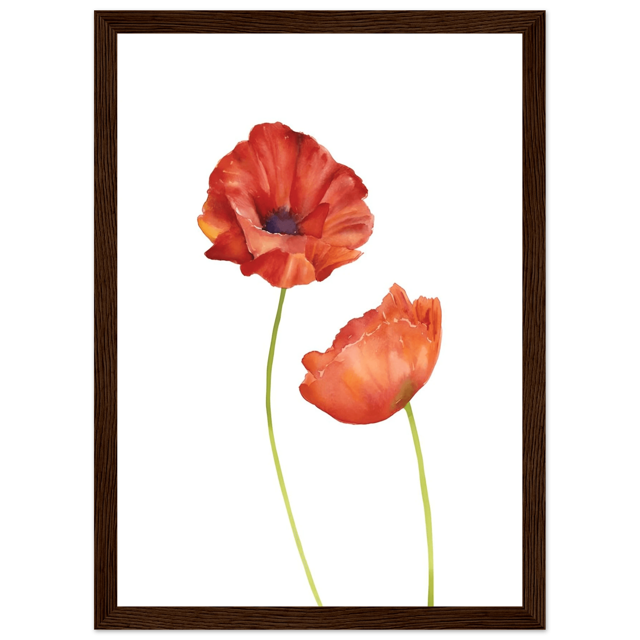 Watercolor Red Poppies - Poster - Arthena