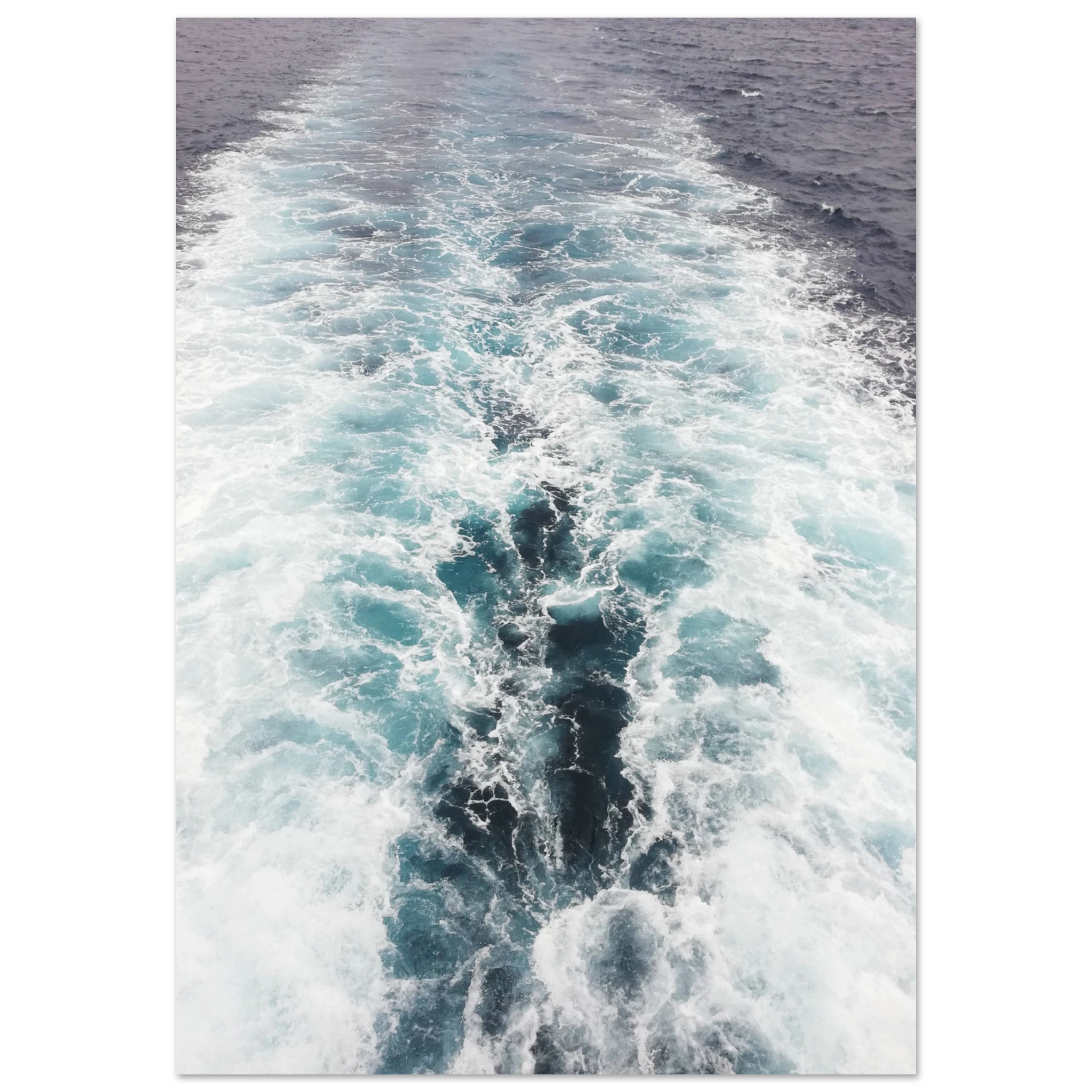 871d335d-f1cc-4d39-9283-5646315042b6