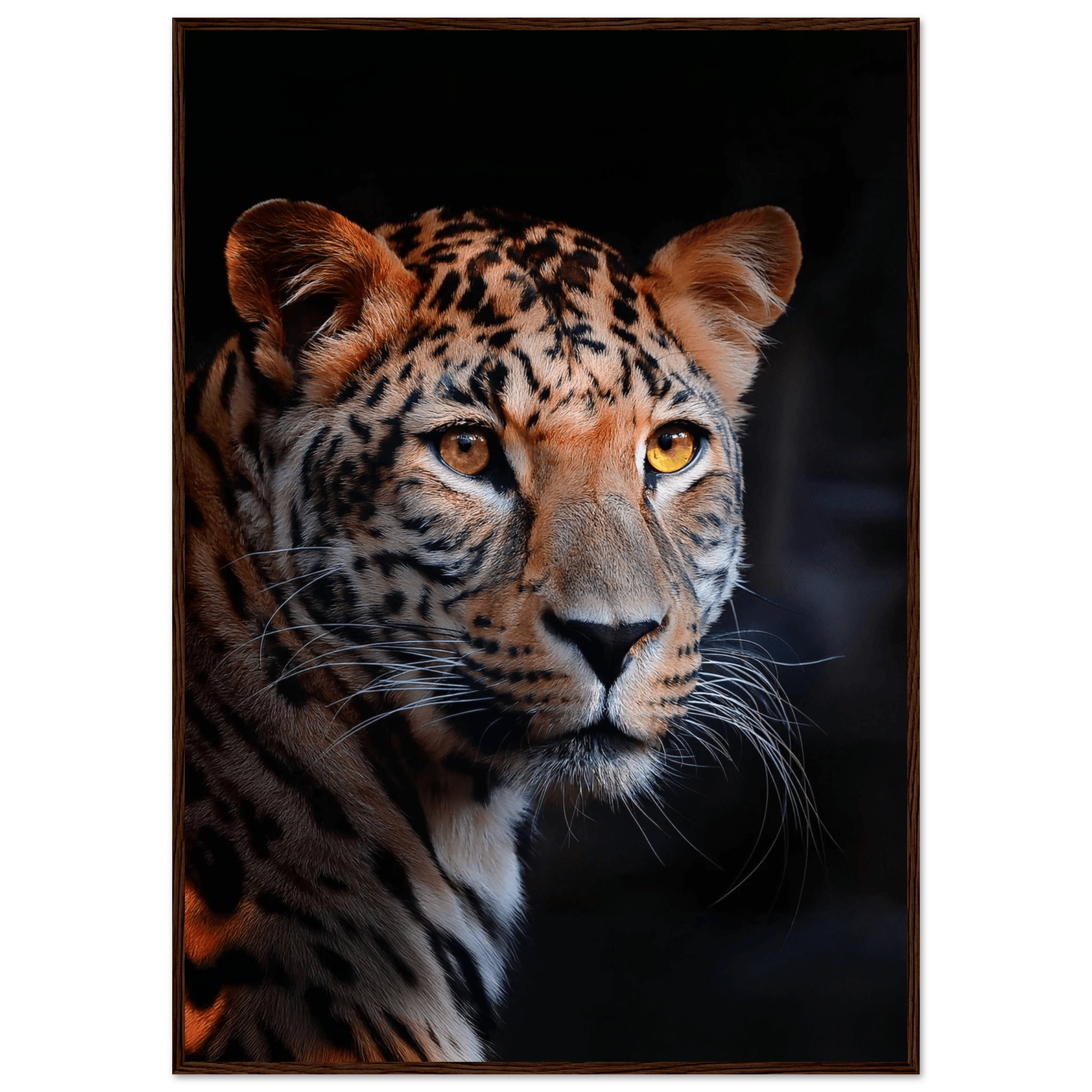 Leopard - Poster - Arthena