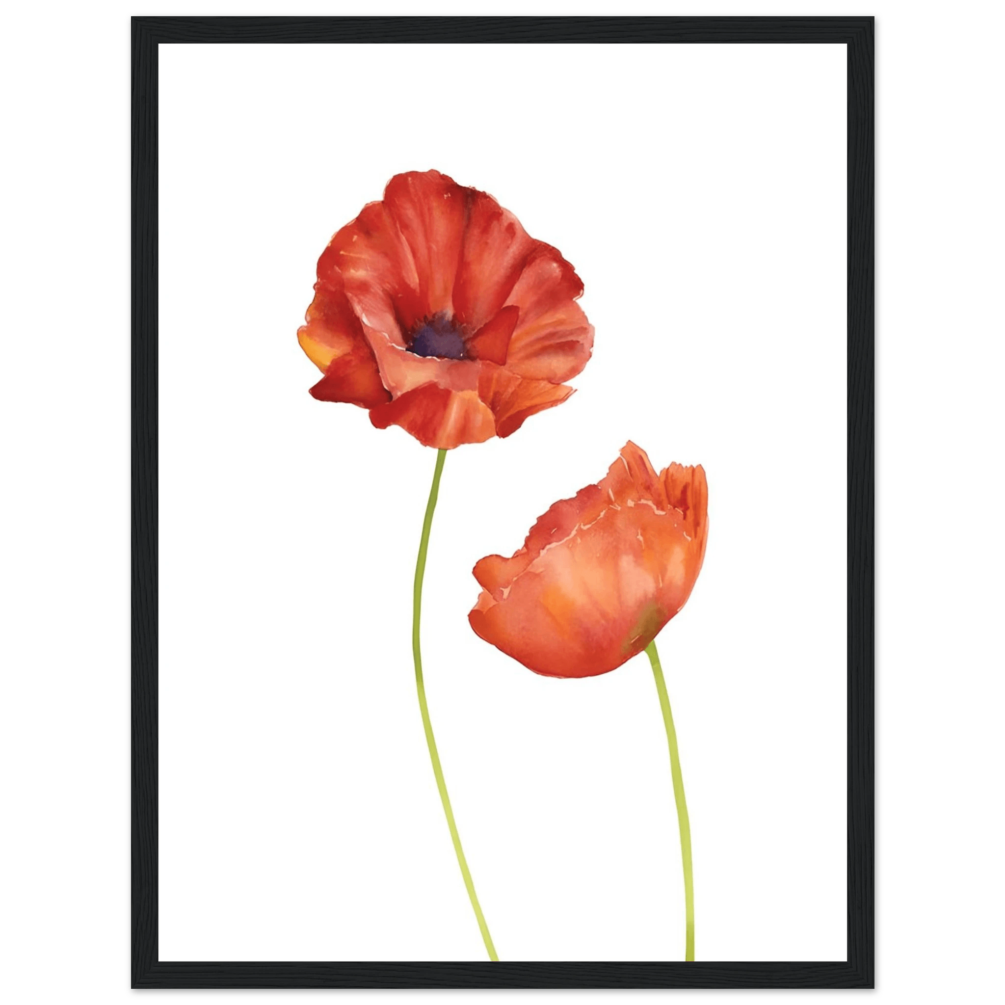 Watercolor Red Poppies - Poster - Arthena