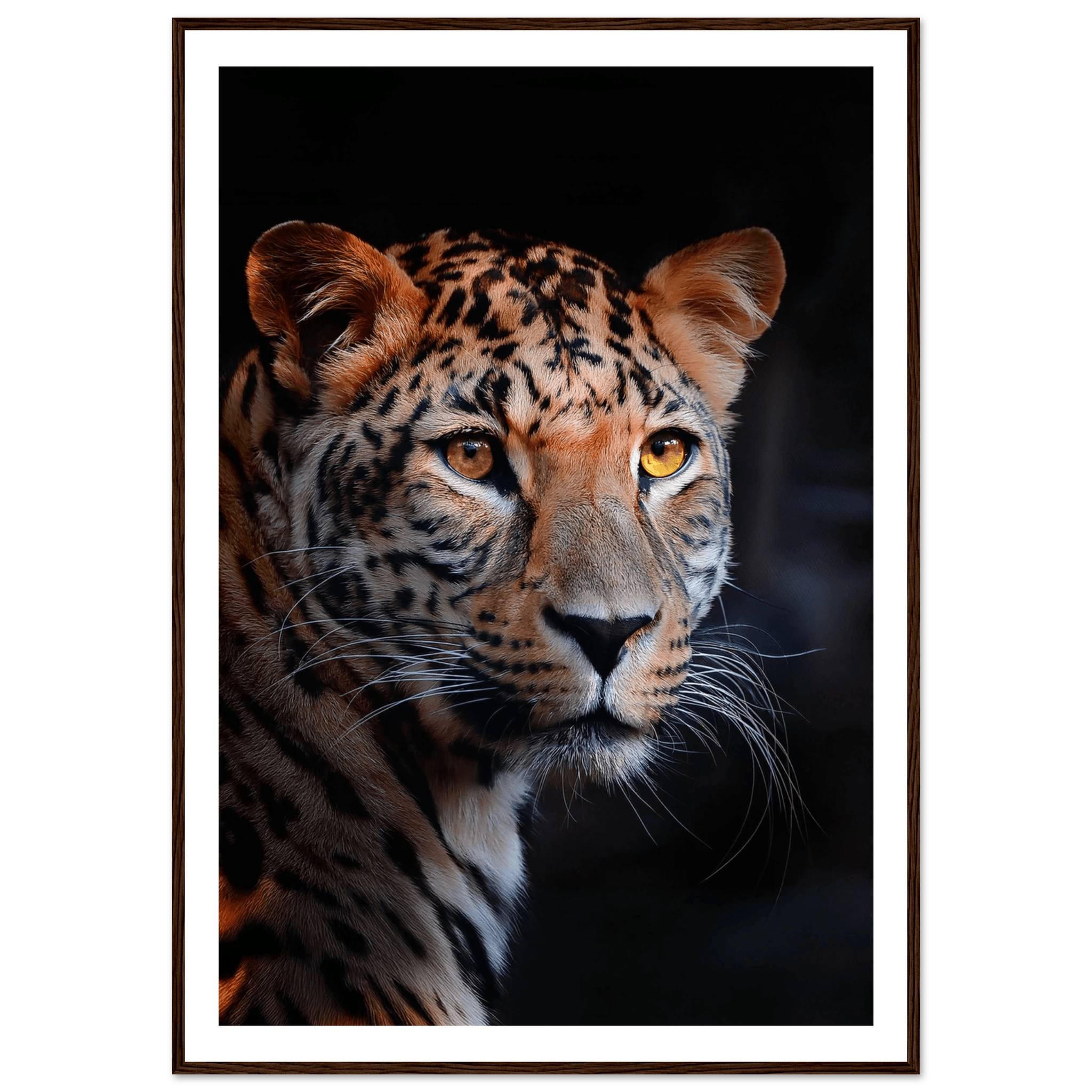 Leopard - Poster - Arthena