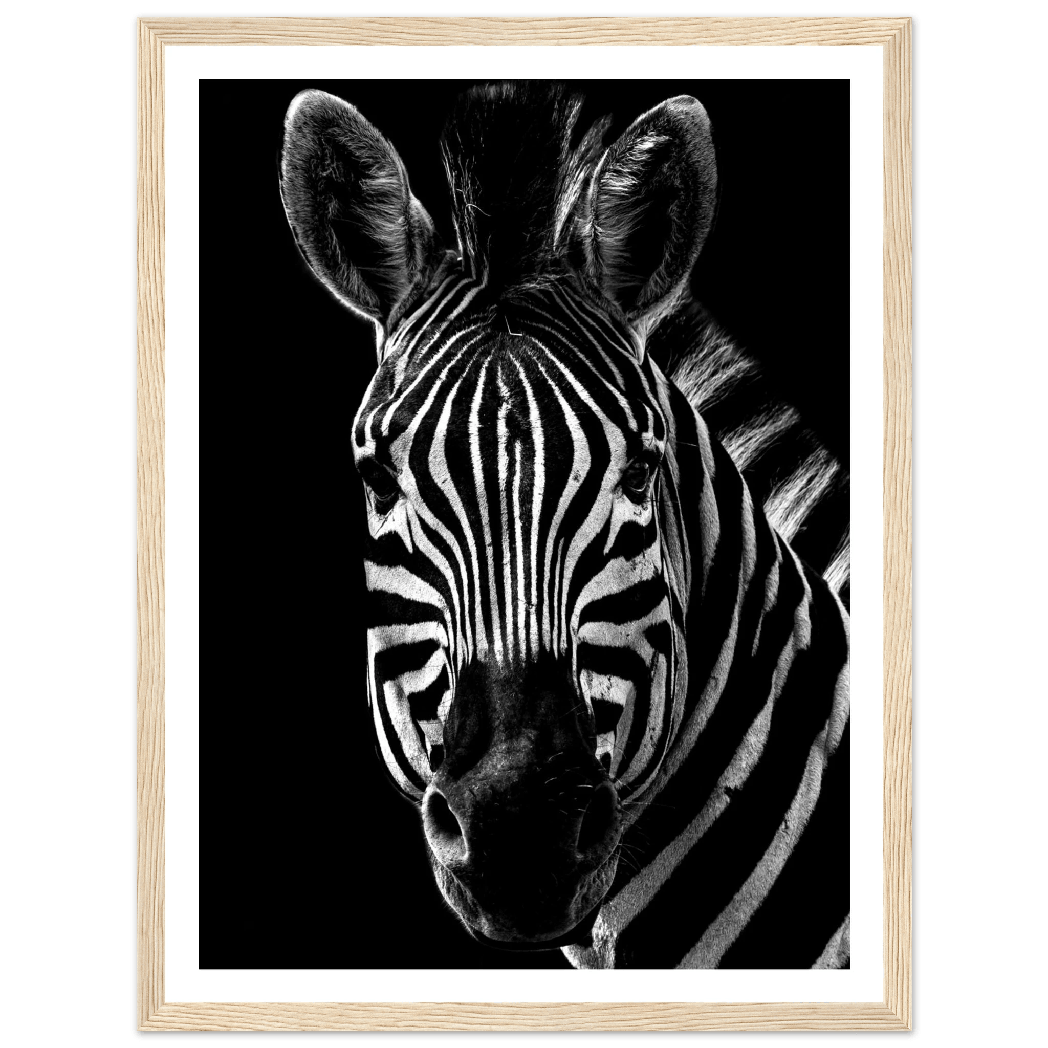 Zebra - Poster - Arthena