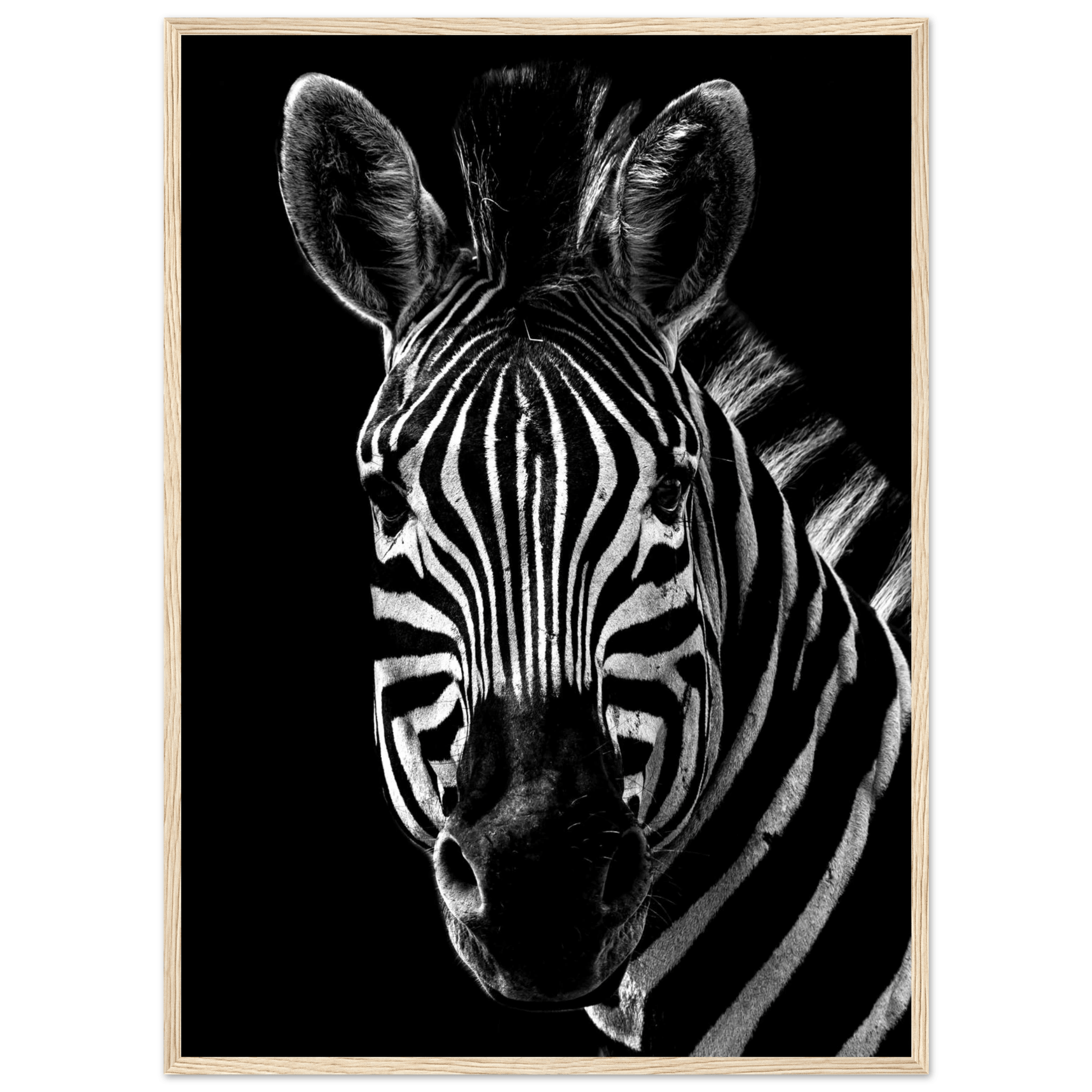 Zebra - Poster - Arthena