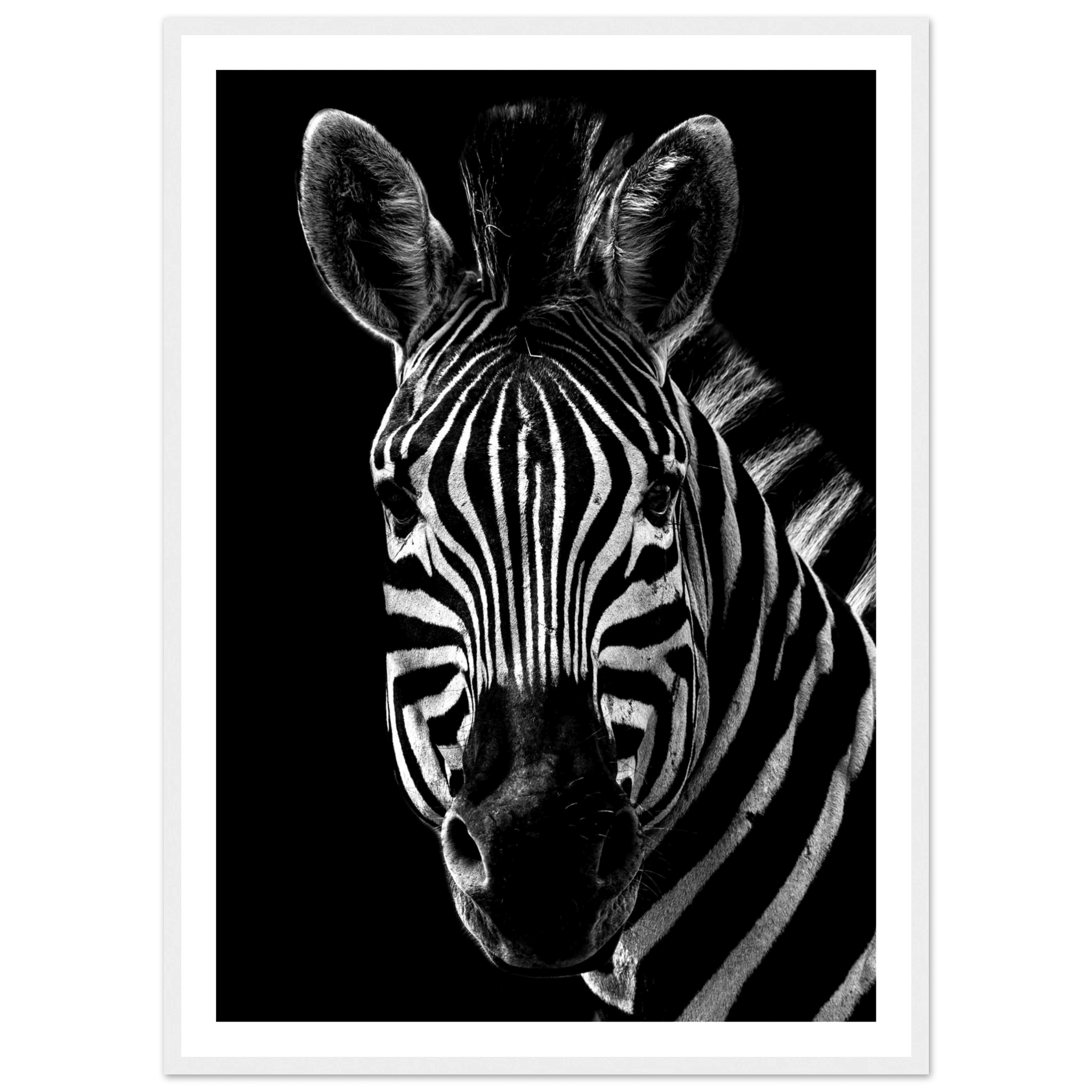 Zebra - Poster - Arthena