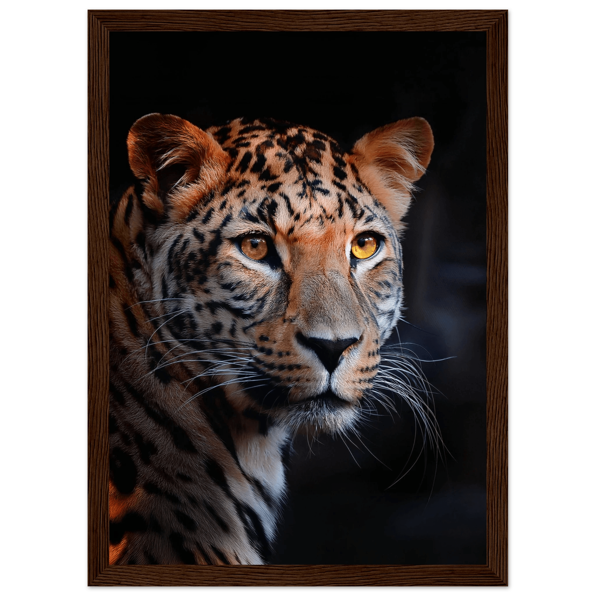Leopard - Poster - Arthena