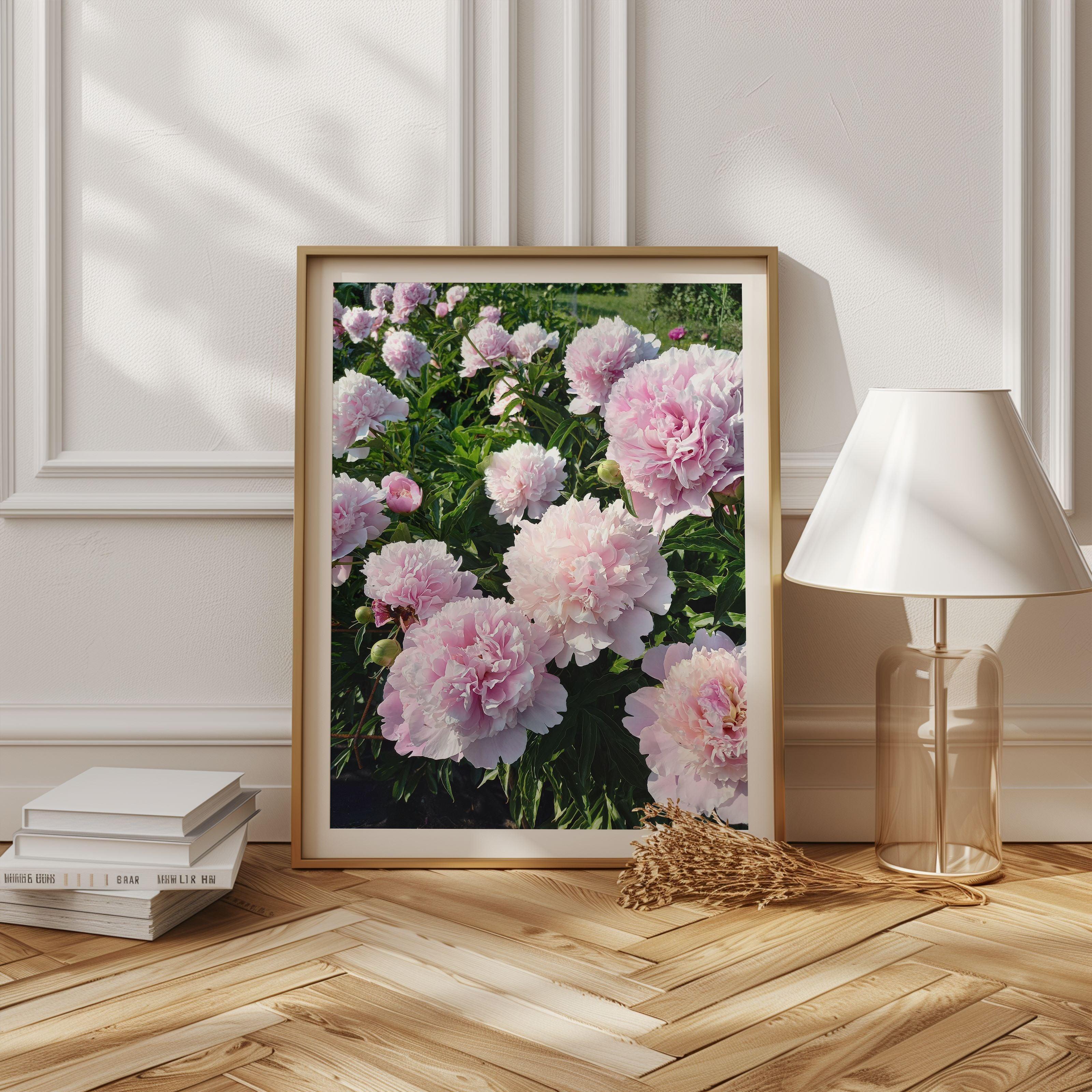 Peonies - Poster - Arthena