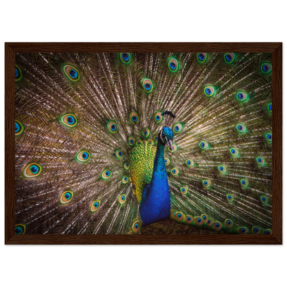 Crown of feathers - Poster - Arthena