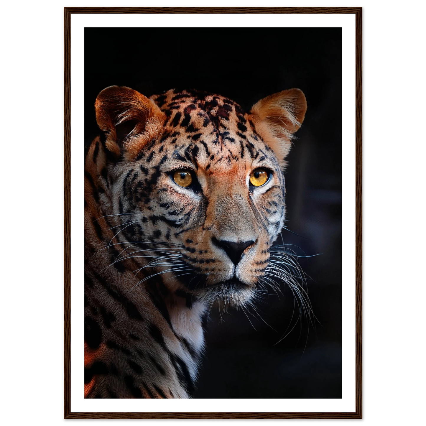 Leopard - Poster - Arthena