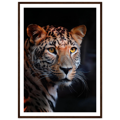 Leopard - Poster - Arthena