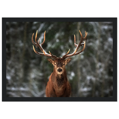 Stag in snow - Poster - Arthena