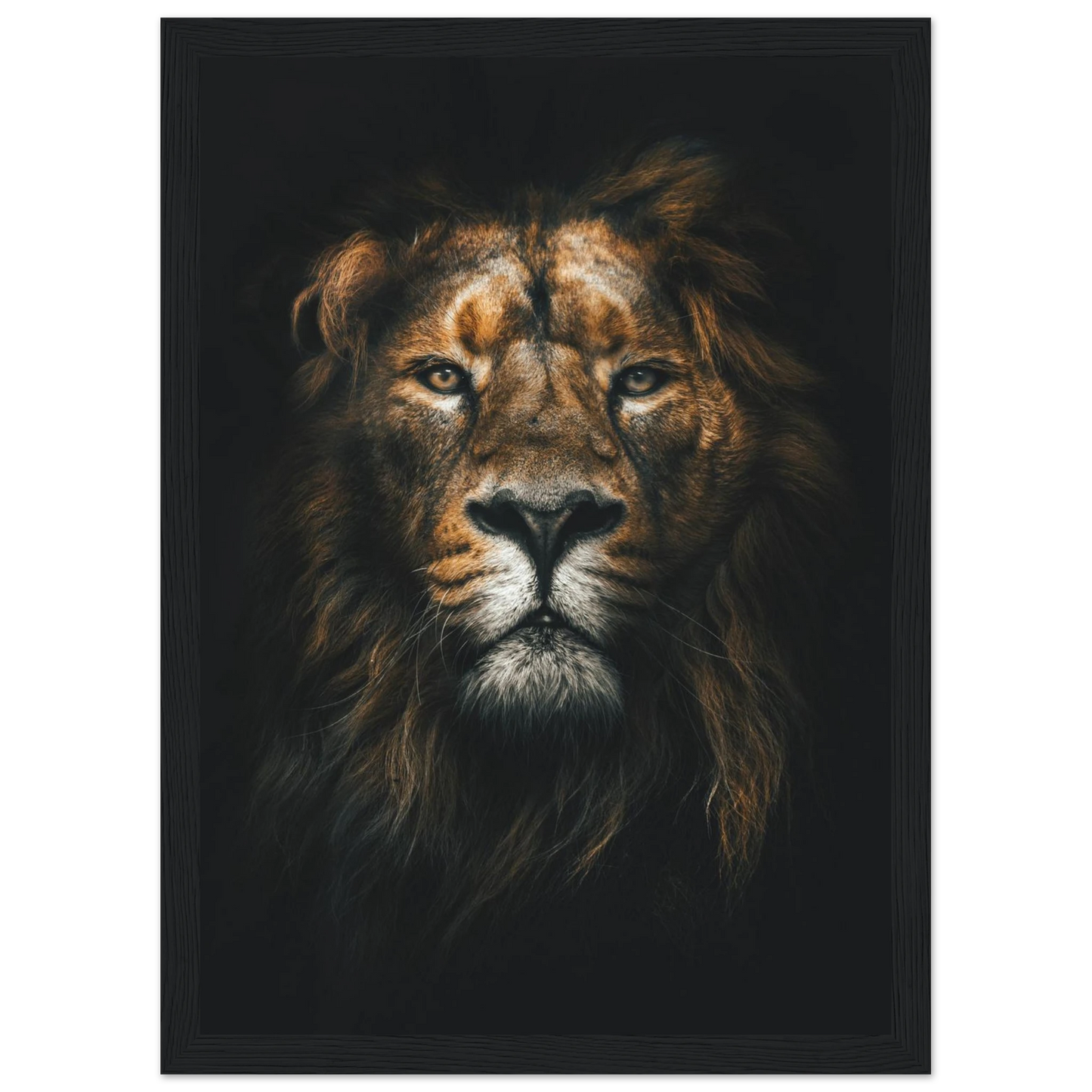 Lion King - Poster - Arthena