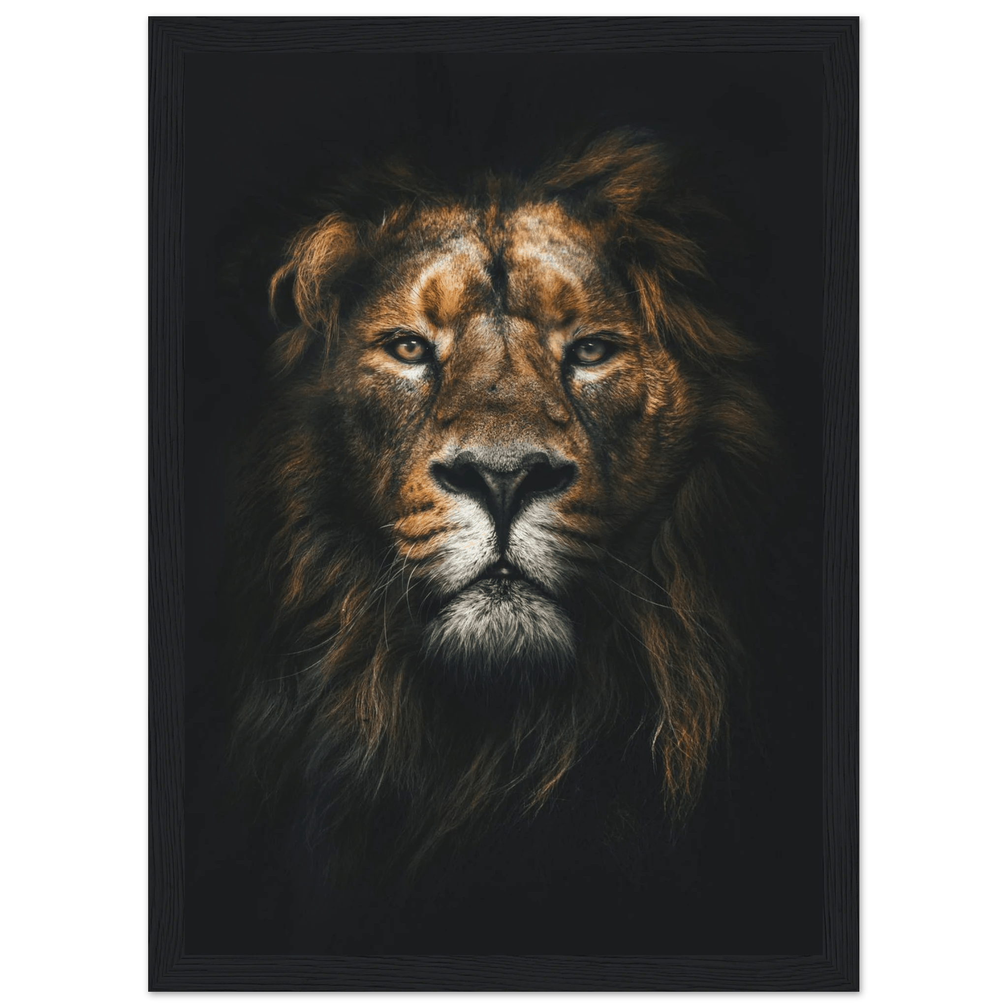 Lion King - Poster - Arthena