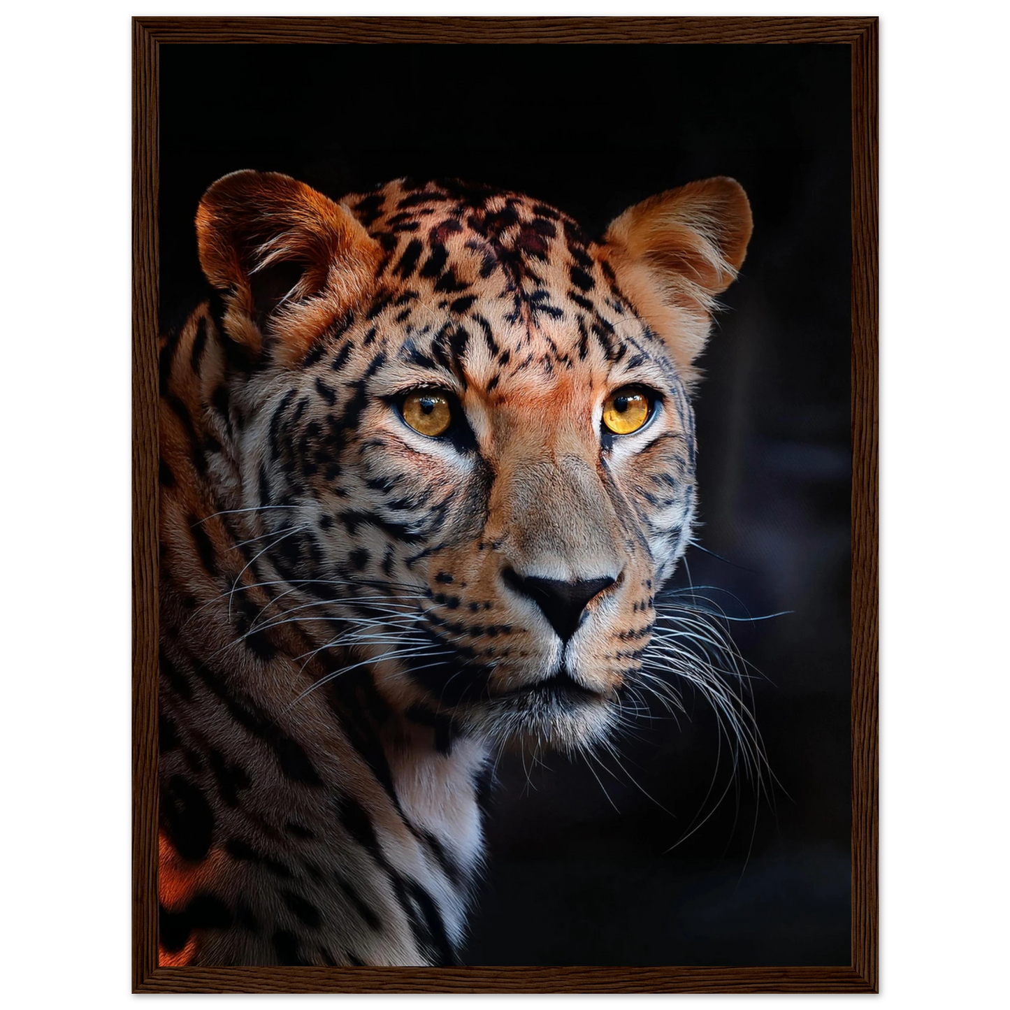 Leopard - Poster - Arthena
