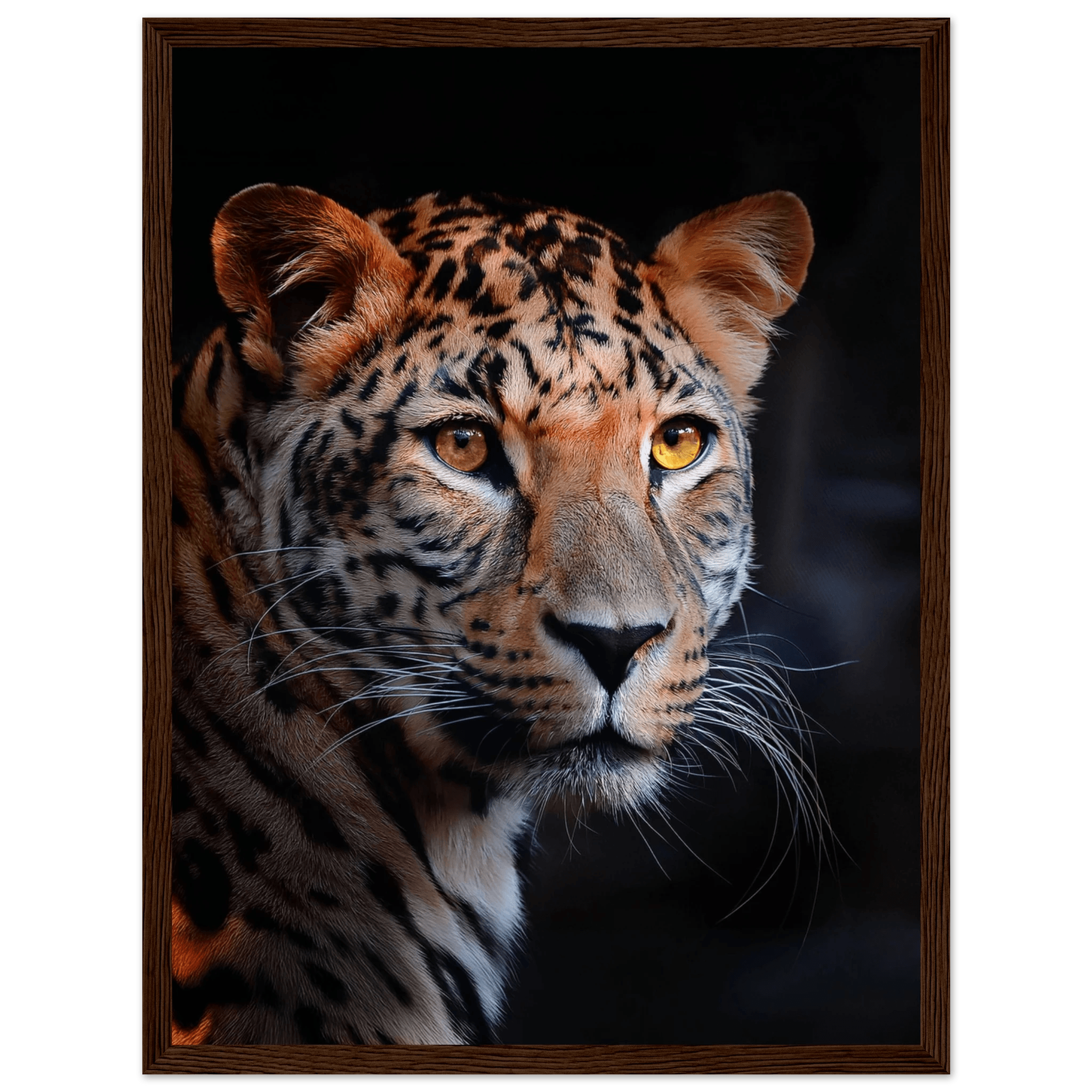 Leopard - Poster - Arthena