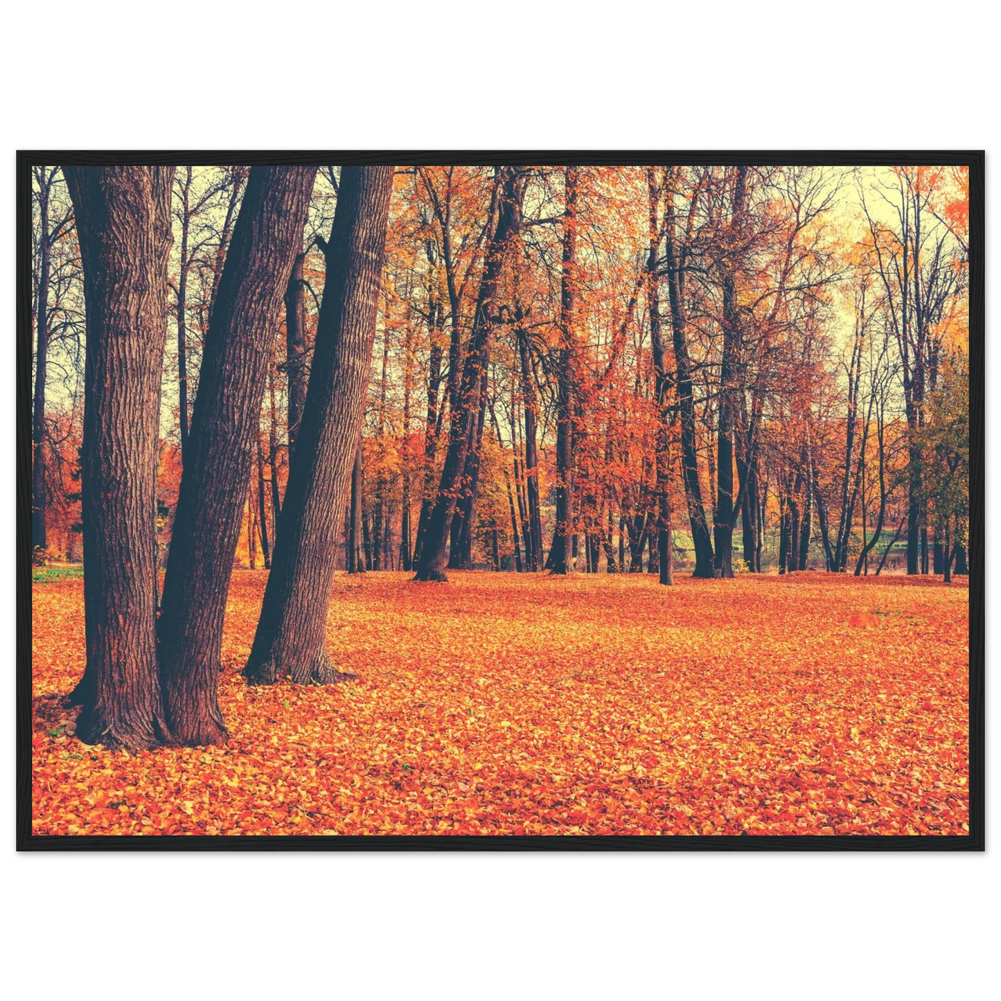 Autumn Carpet - Poster - Arthena