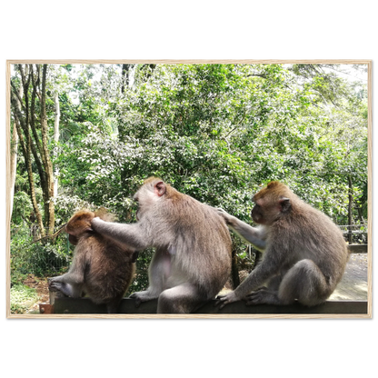 Monkey Scratchers - Poster - Arthena