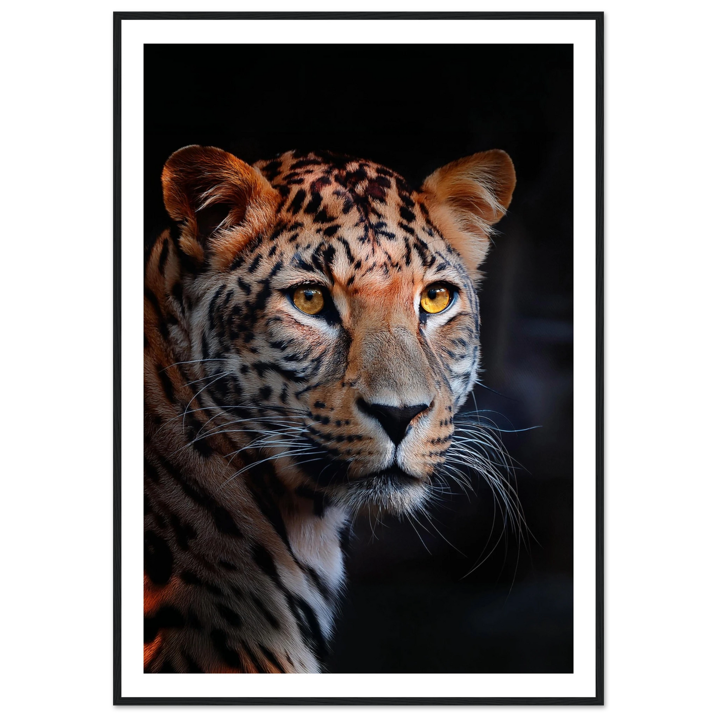 Leopard - Poster - Arthena