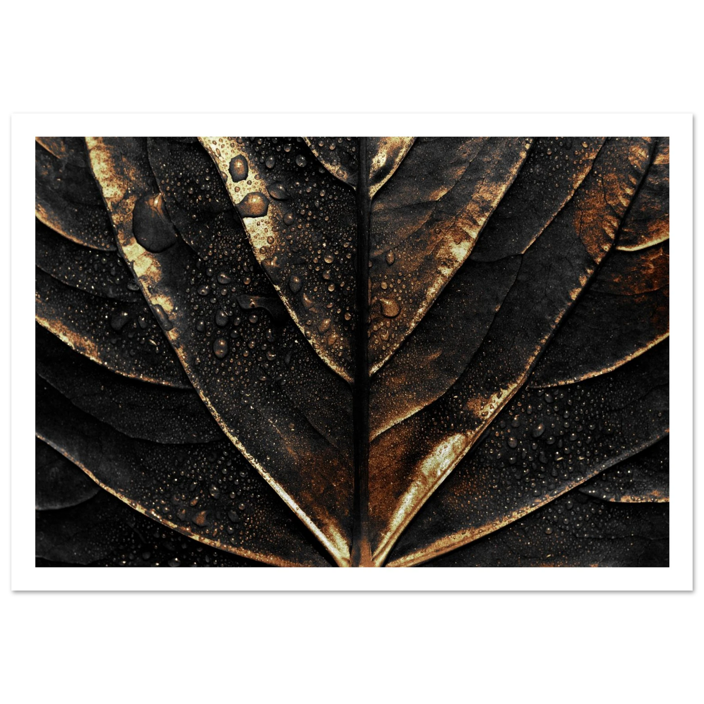 Gold Veins - Poster - Arthena