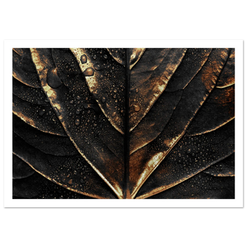 0b278d53-3935-4aea-a6d5-0ff41d3000d4