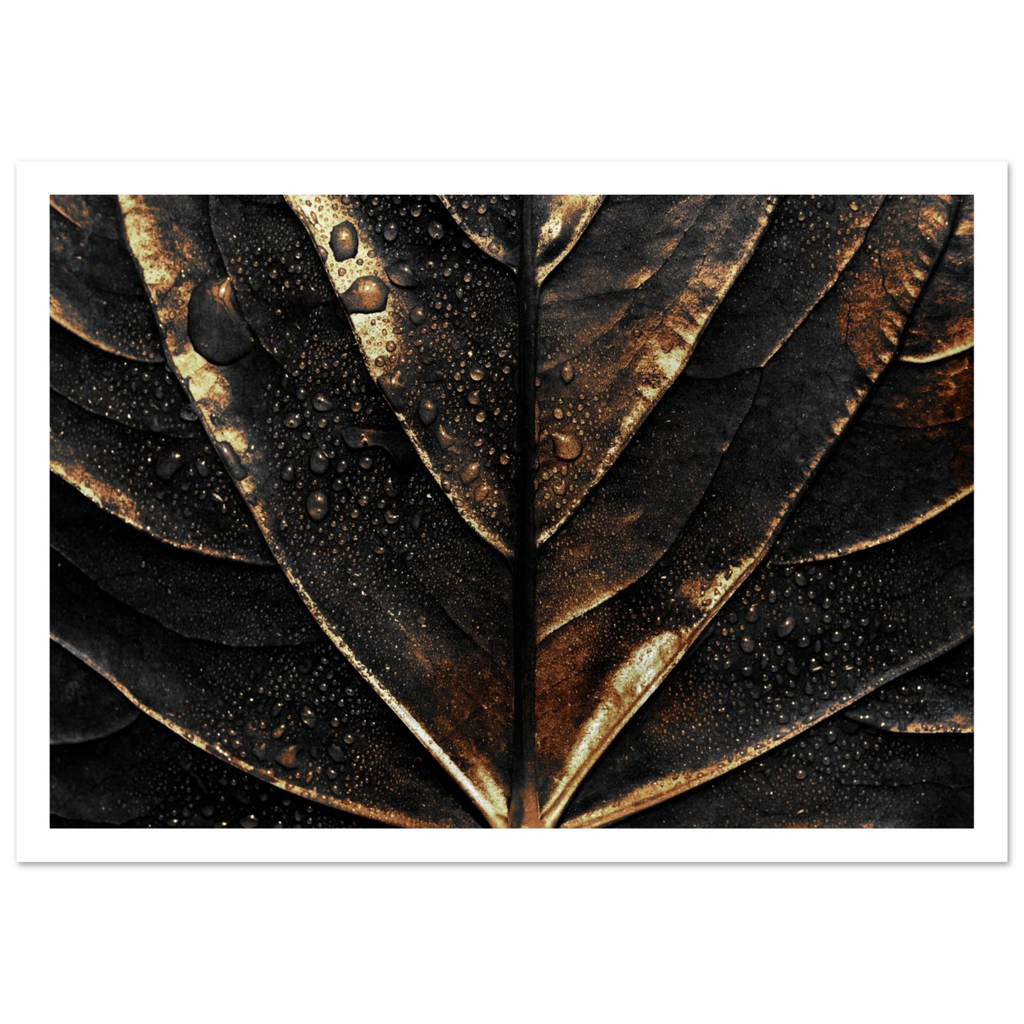 Gold Veins - Poster - Arthena