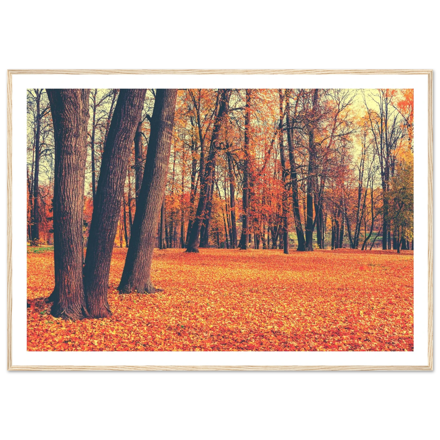 Autumn Carpet - Poster - Arthena