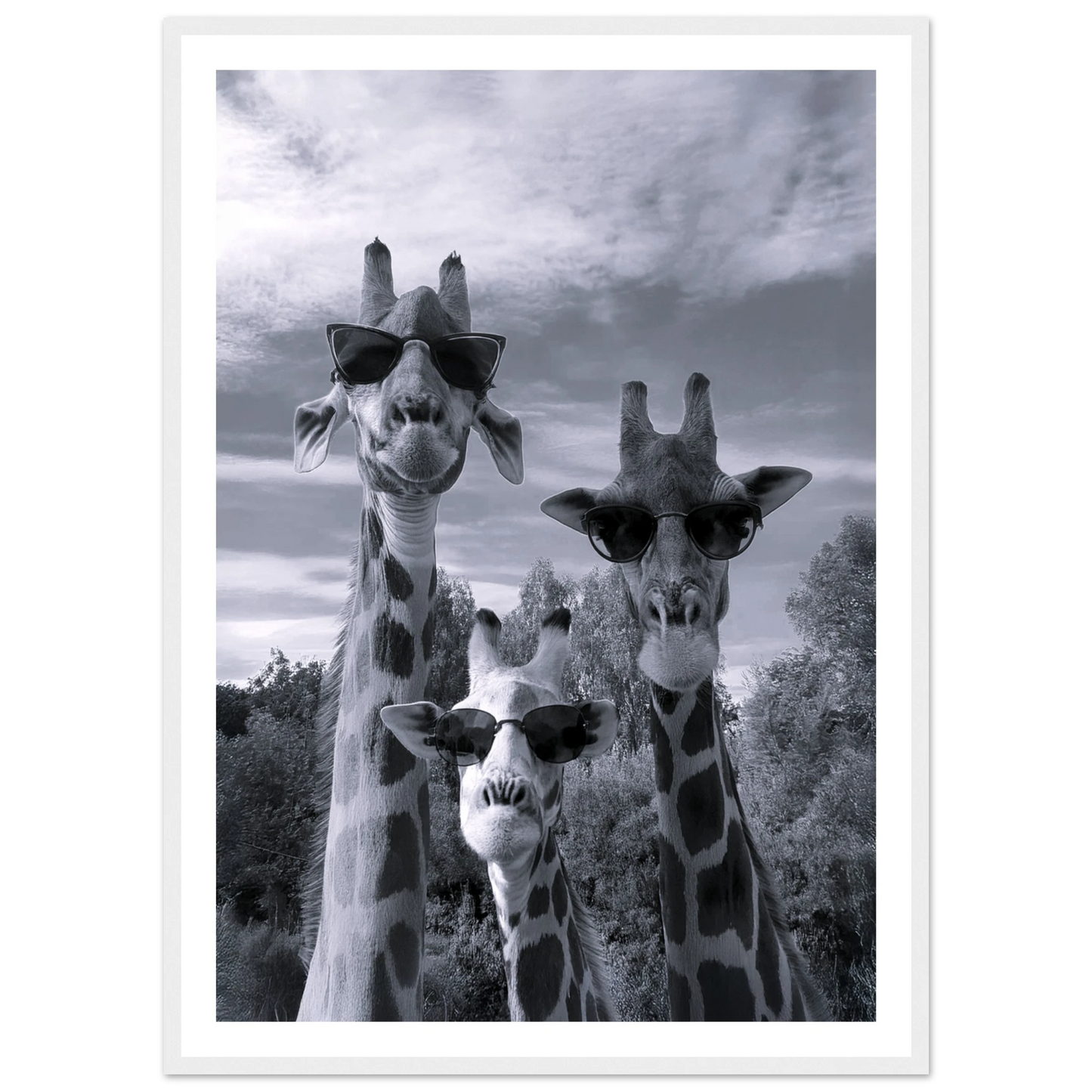 A Sunny Day to be a Giraffe - Poster - Arthena
