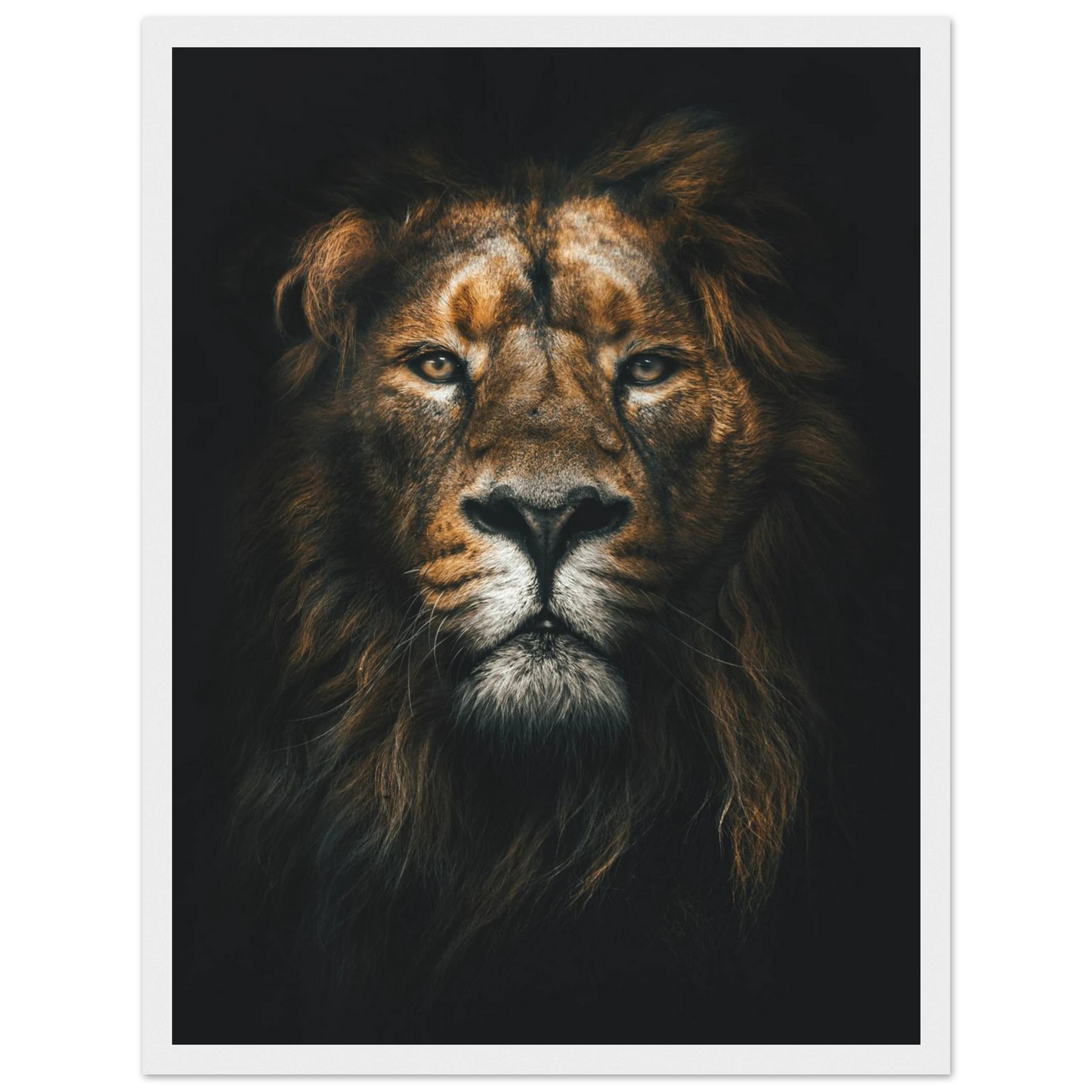 Lion King - Poster - Arthena