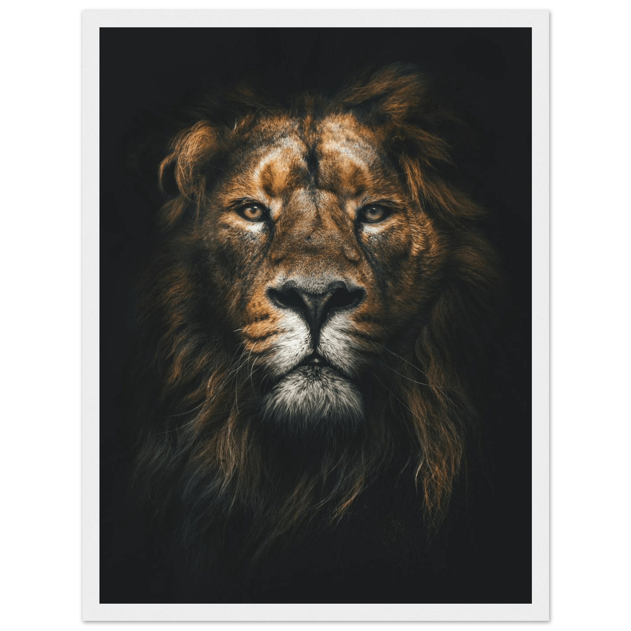 Lion King - Poster - Arthena