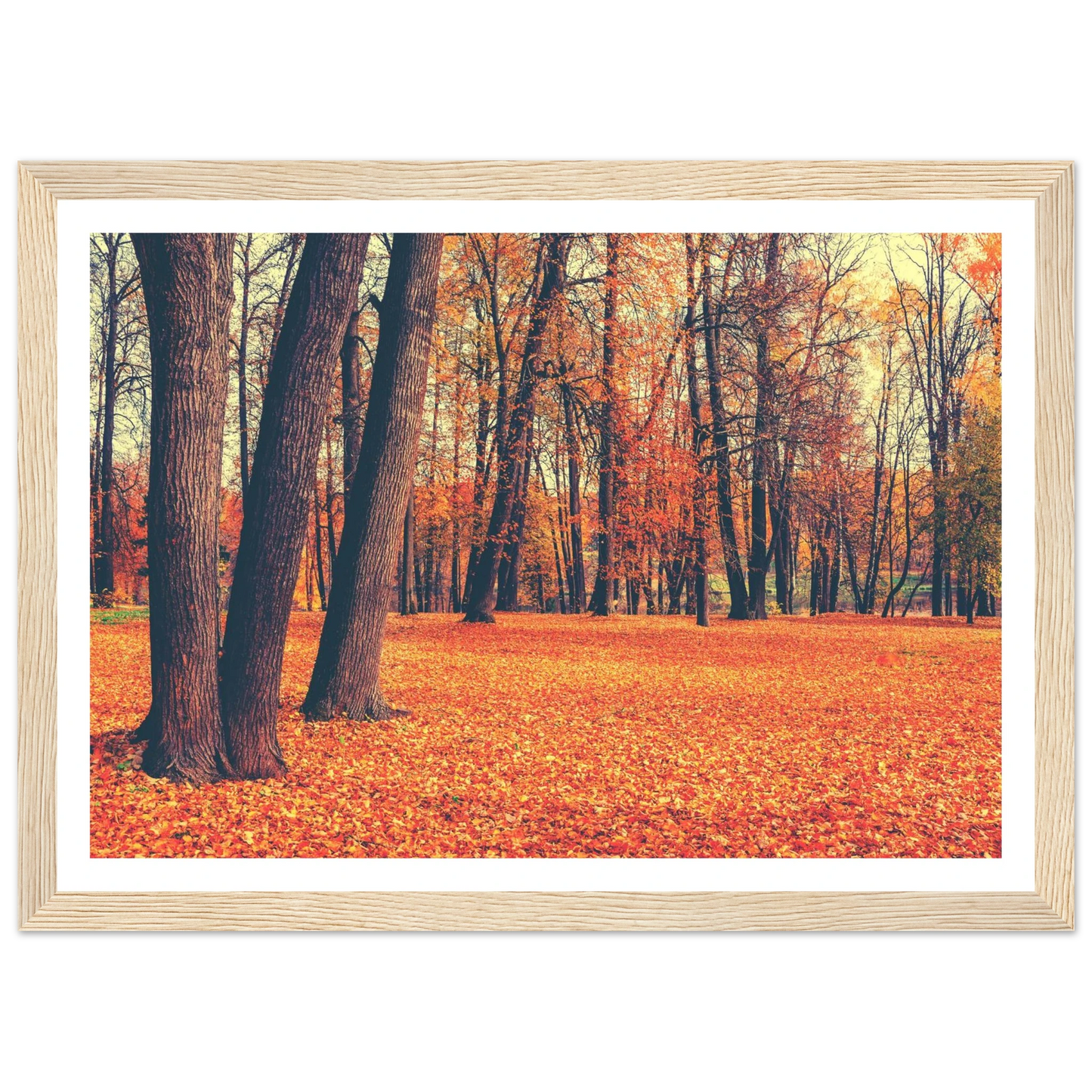 Autumn Carpet - Poster - Arthena