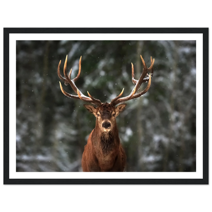 Stag in snow - Poster - Arthena