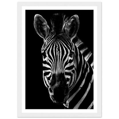 Zebra - Poster - Arthena