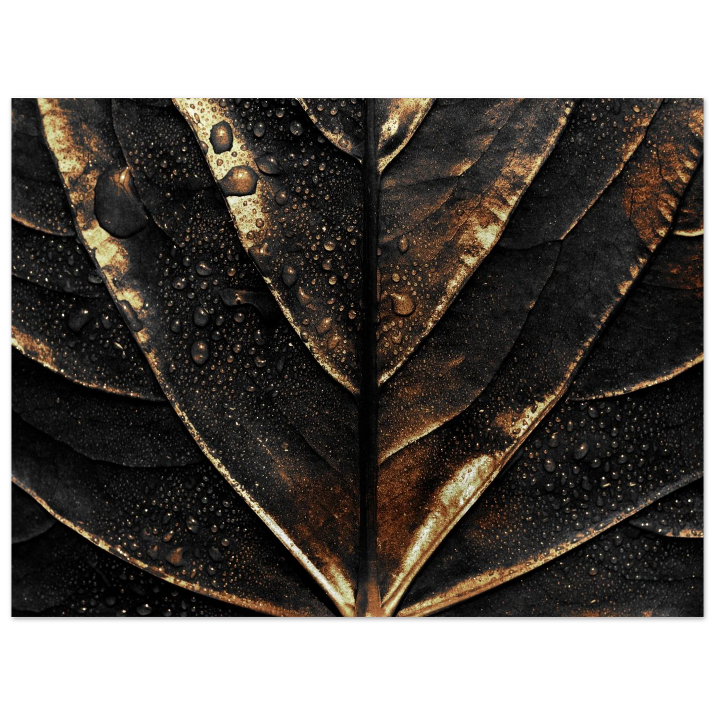 Gold Veins - Poster - Arthena