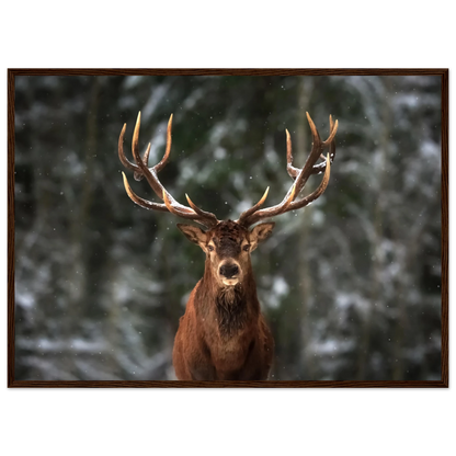 Stag in snow - Poster - Arthena