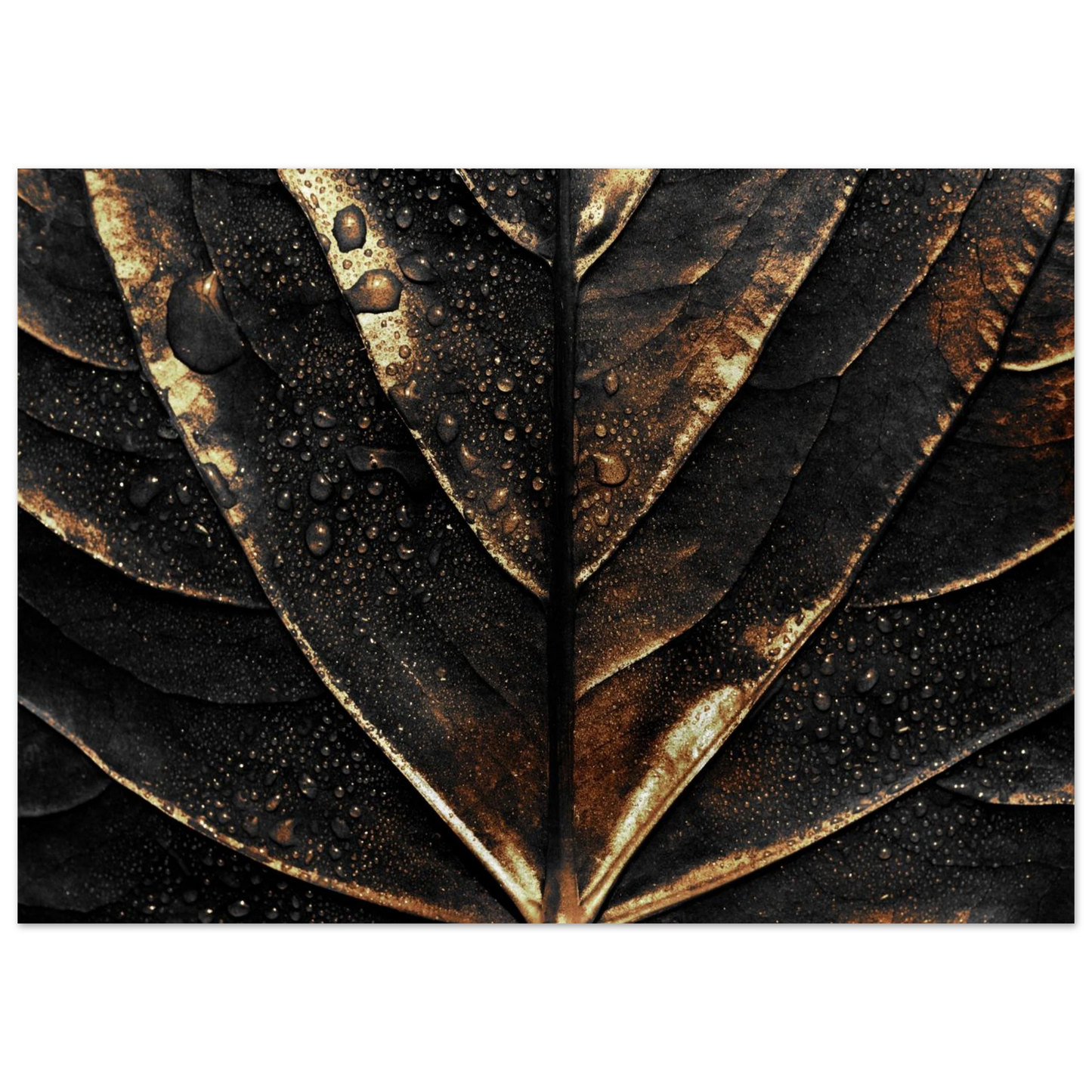 Gold Veins - Poster - Arthena
