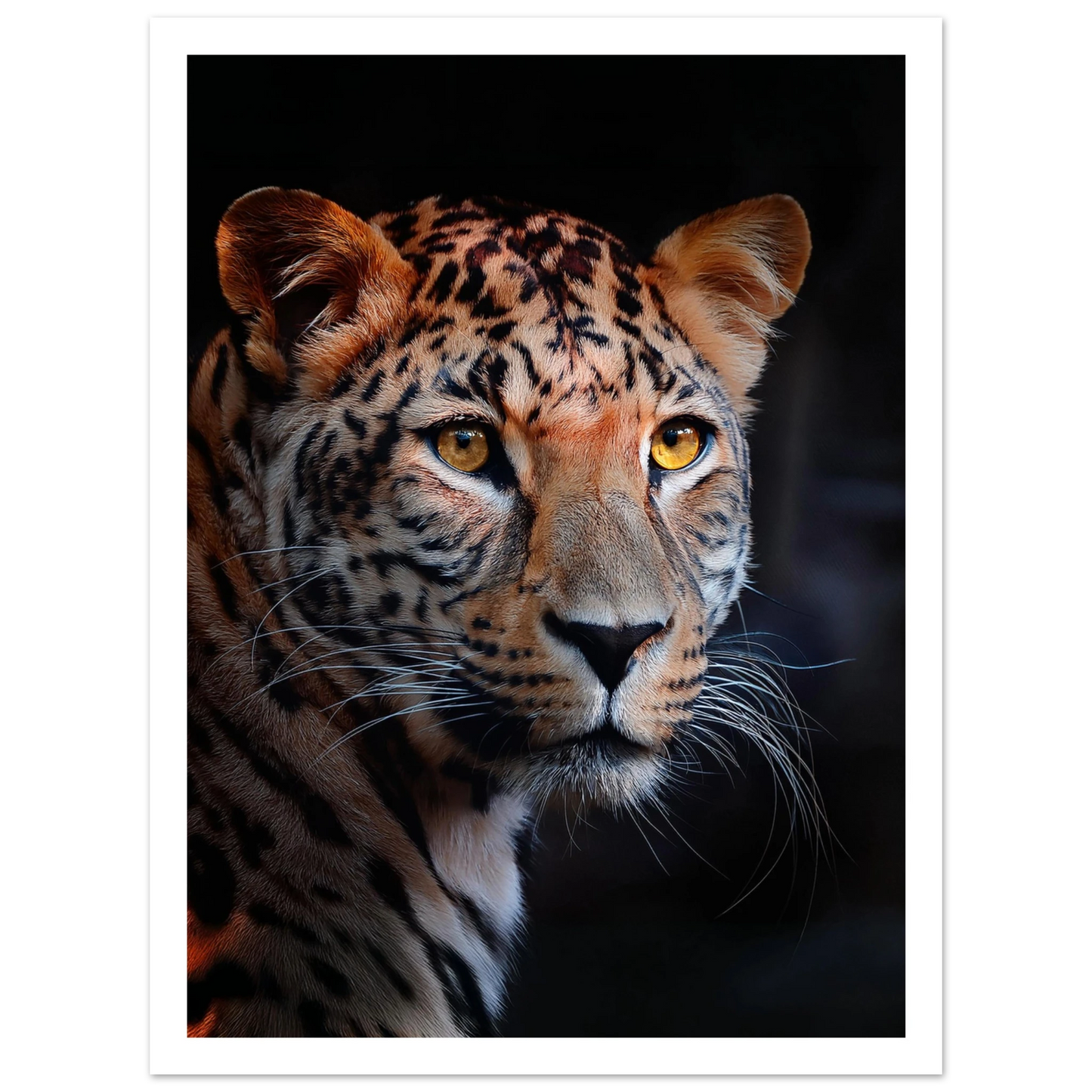 Leopard - Poster - Arthena