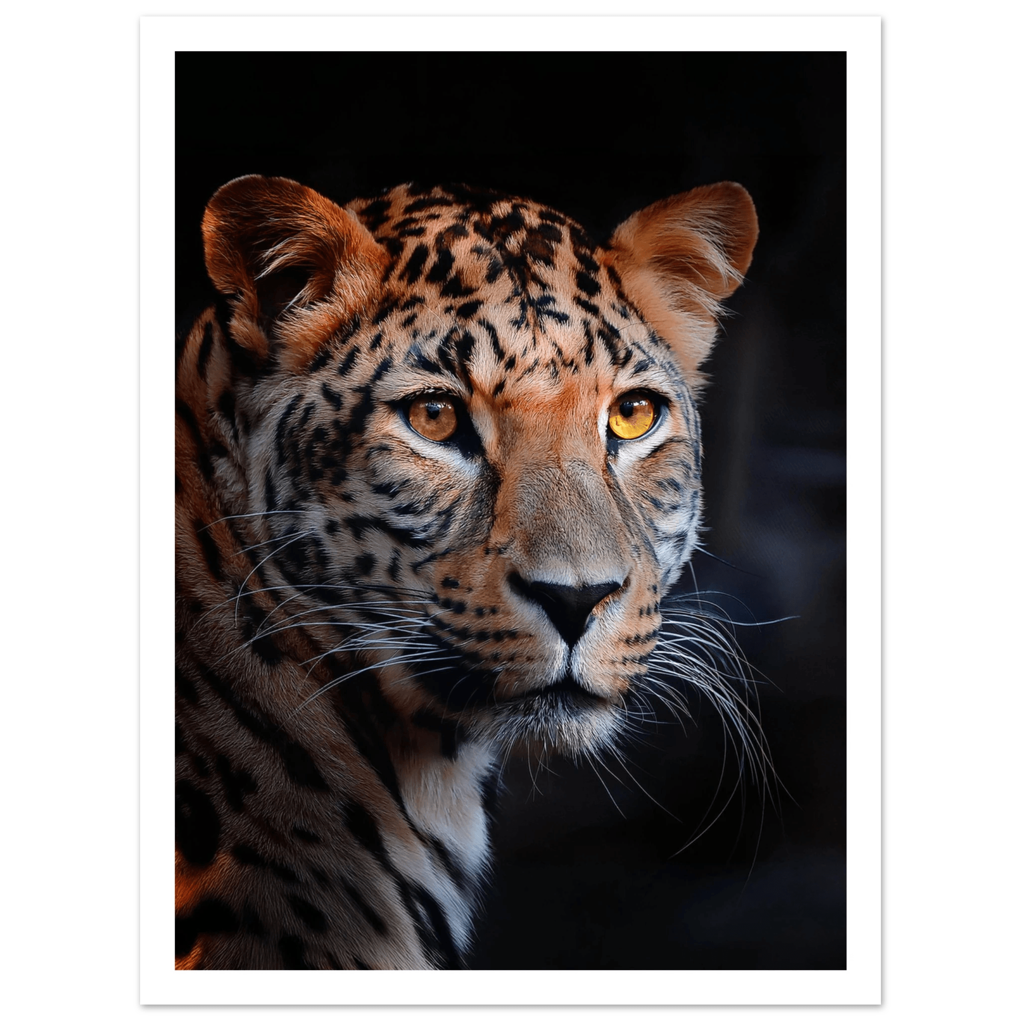 Leopard - Poster - Arthena