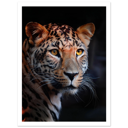 Leopard - Poster - Arthena