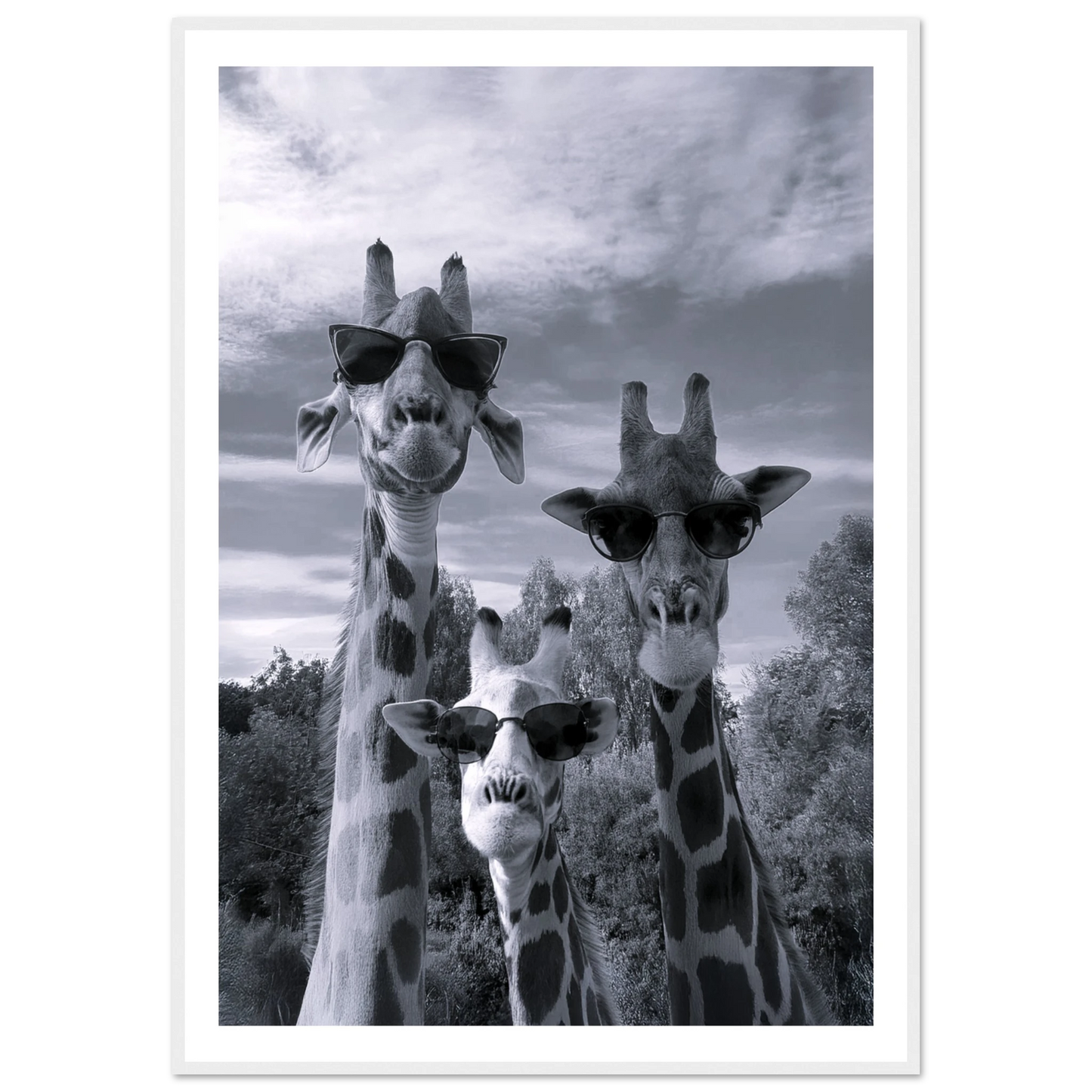 A Sunny Day to be a Giraffe - Poster - Arthena