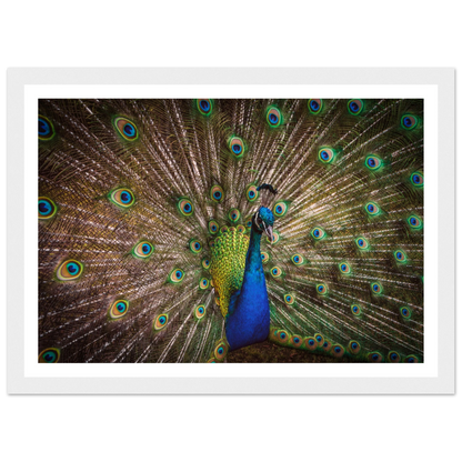 Crown of feathers - Poster - Arthena